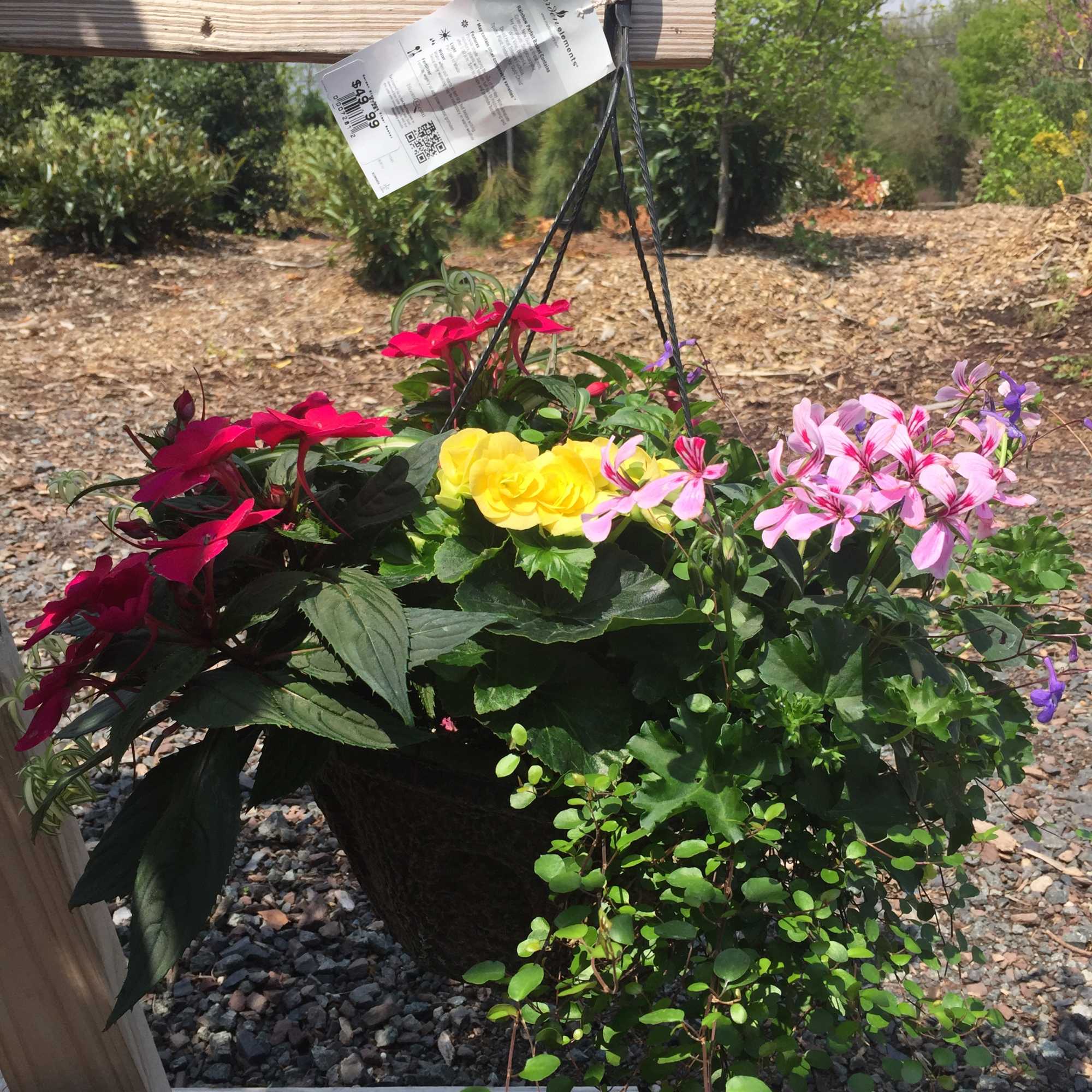 Hanging basket with pink, yellow, and purple flowers