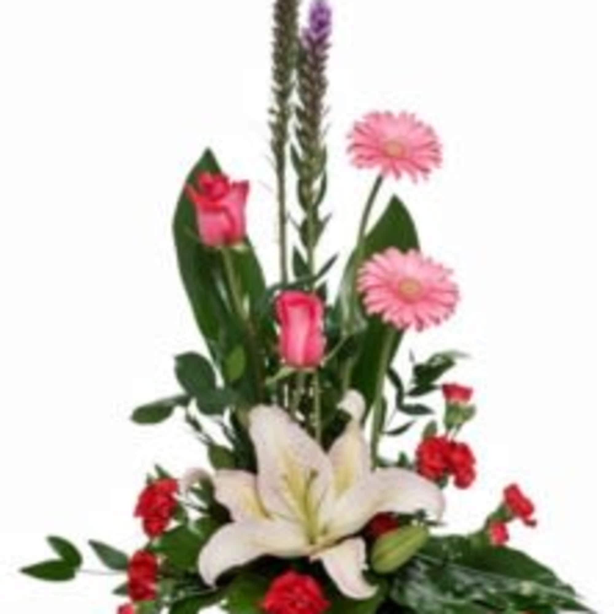  Pet Friendly?
NO . While roses themselves are non-toxic to dogs and