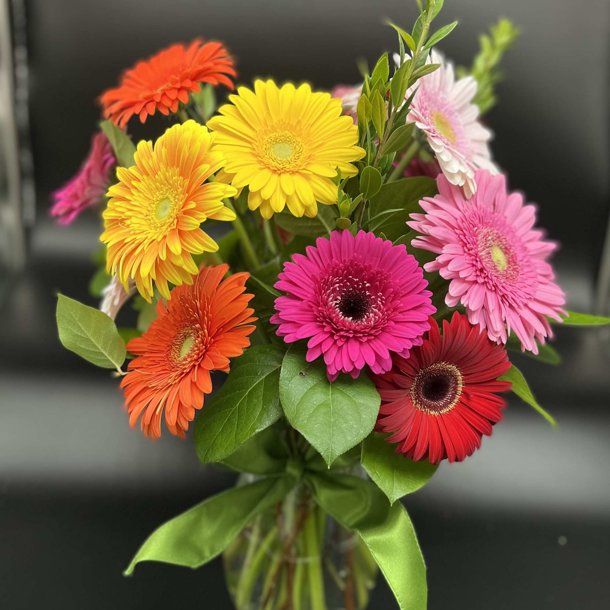 Colorful gerbera daisy bouquet in a glass vase