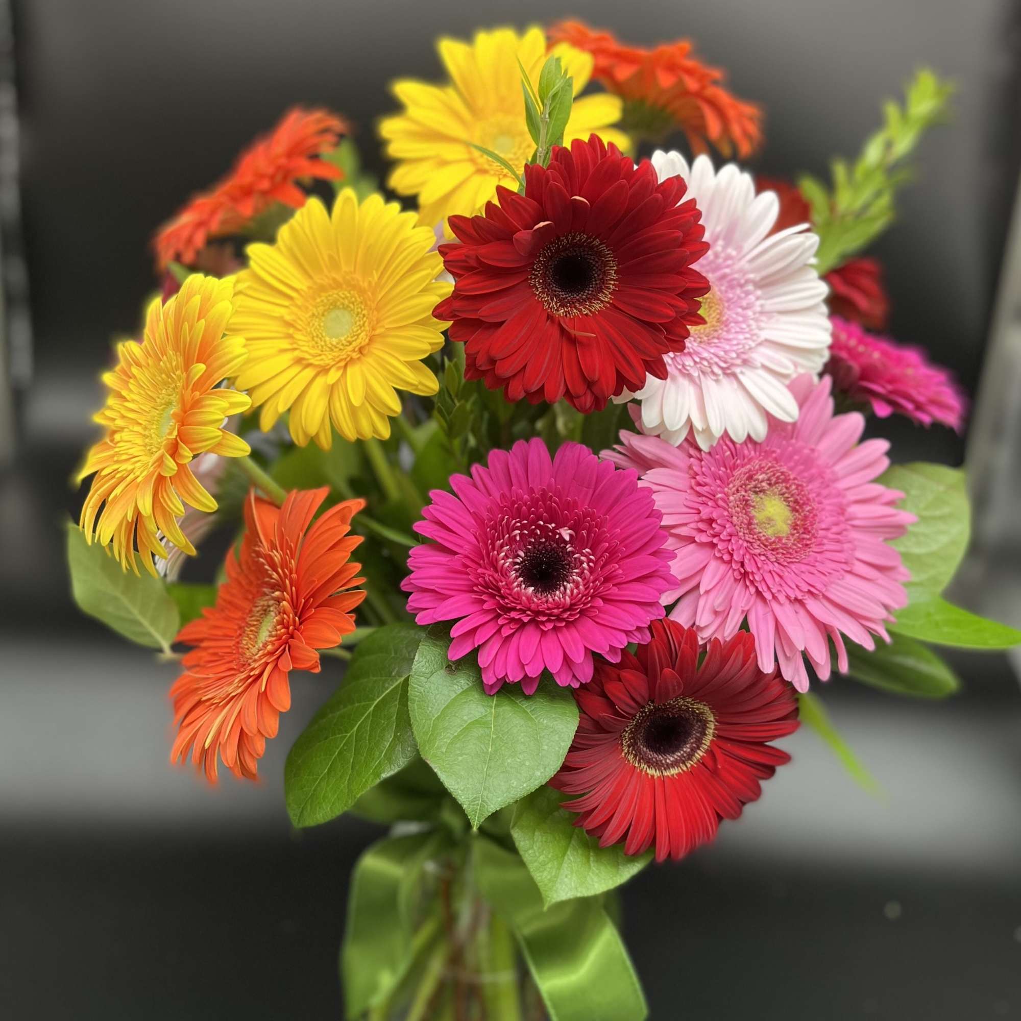Bright gerbera daisies in a glass vase with a green ribbon
