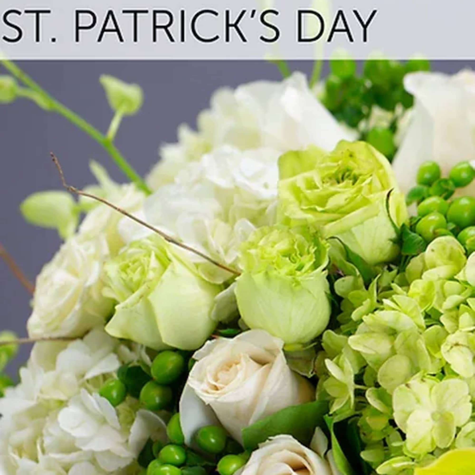 White and green floral arrangement with roses and hydrangeas