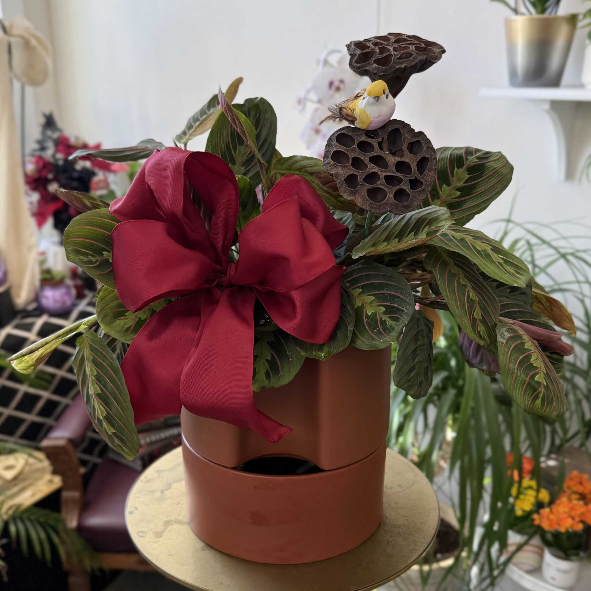 Potted plant arrangement with a large red ribbon and decorative seed pods