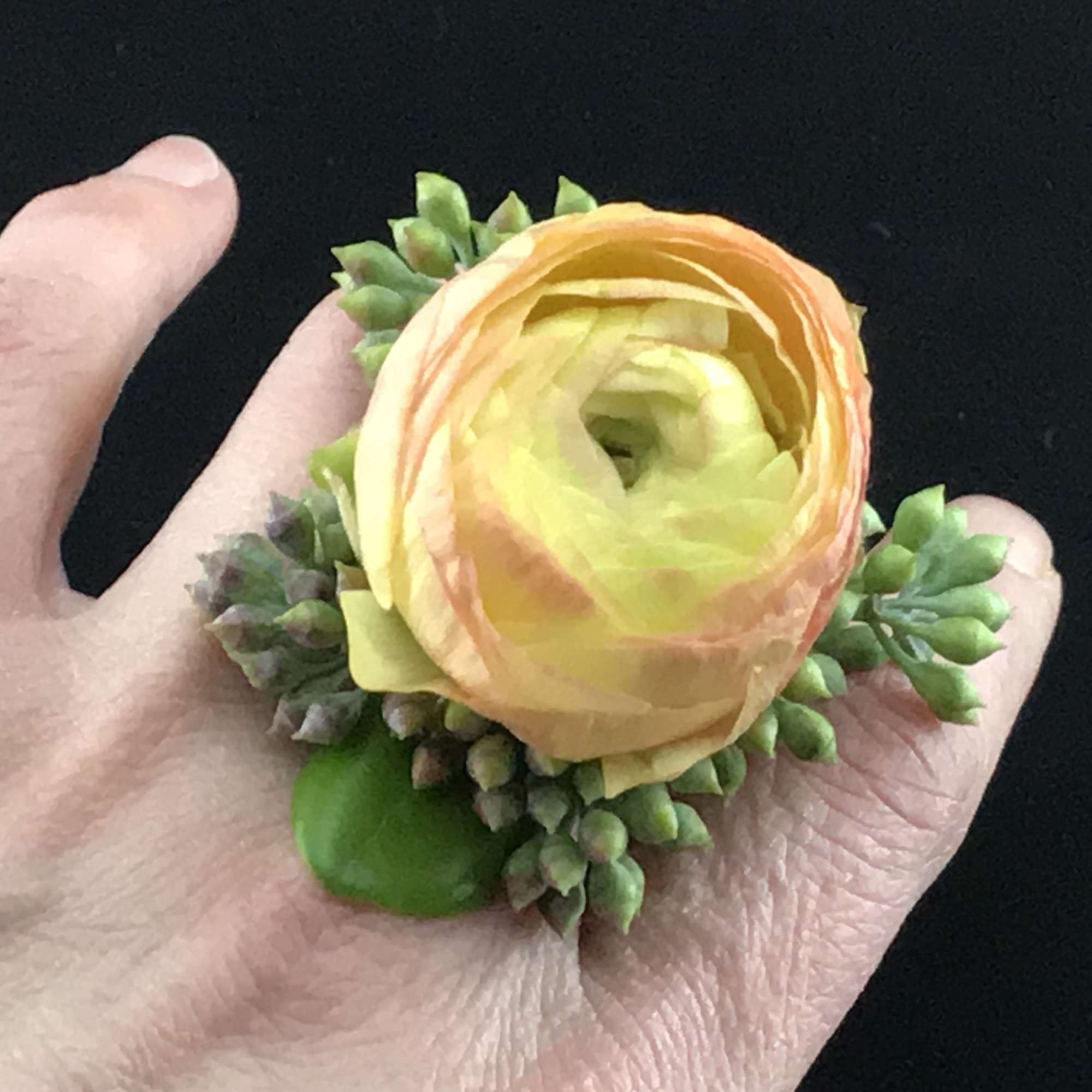 Yellow ranunculus corsage with green succulents on a hand