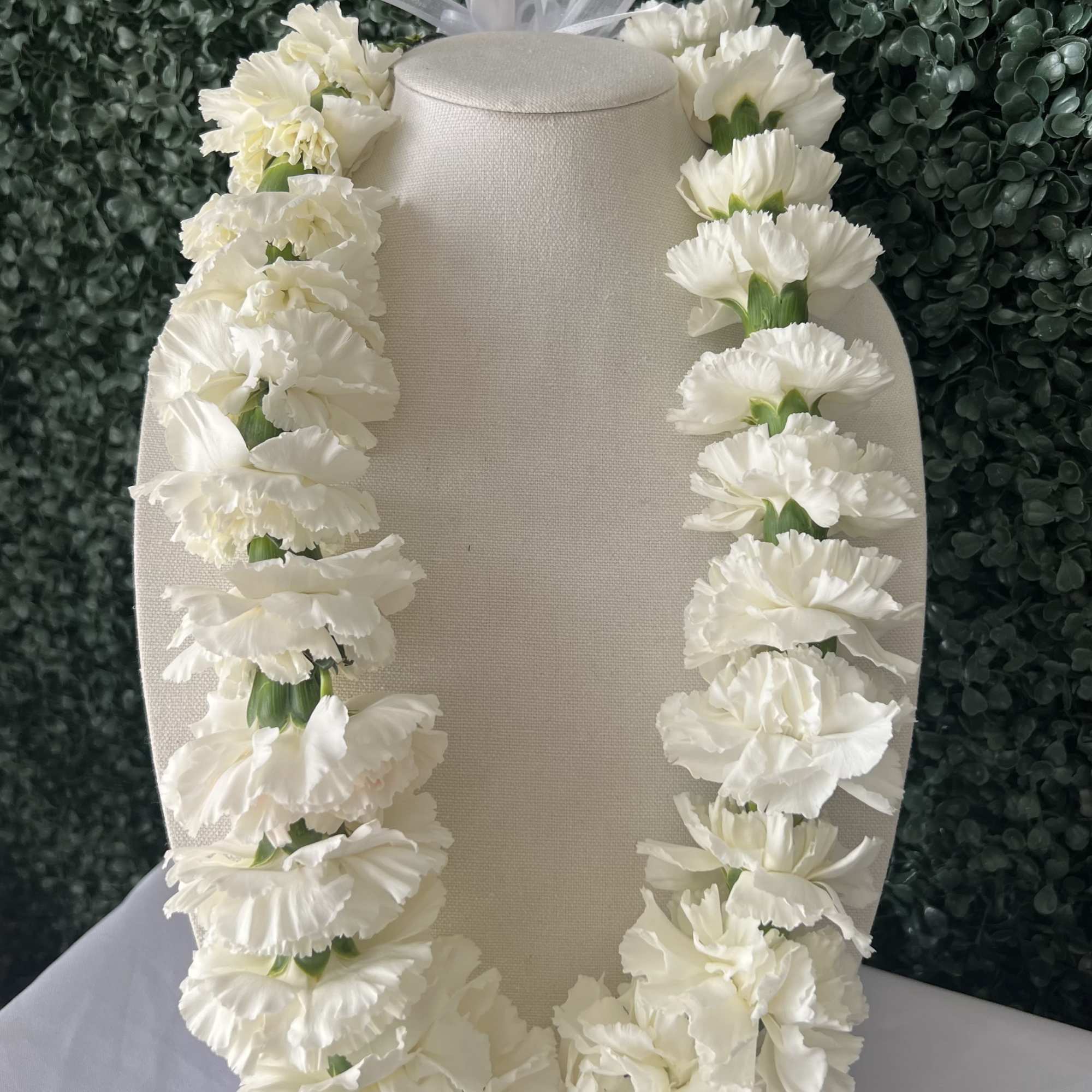 White carnation lei draped over a beige display bust