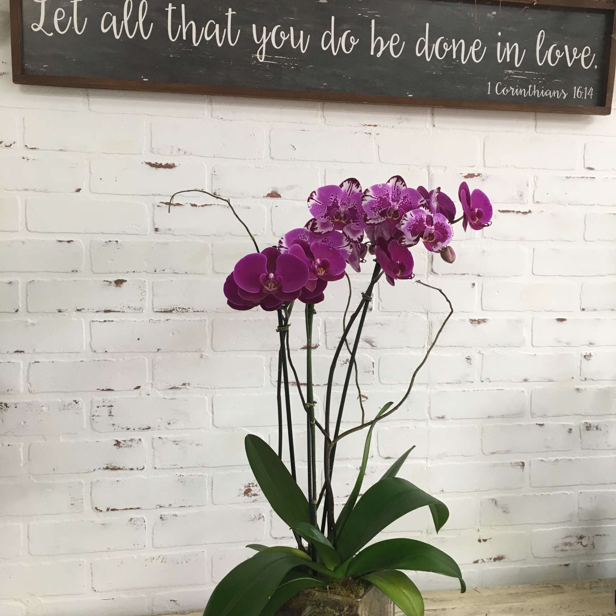 Purple orchids in a clear square vase against a white brick wall