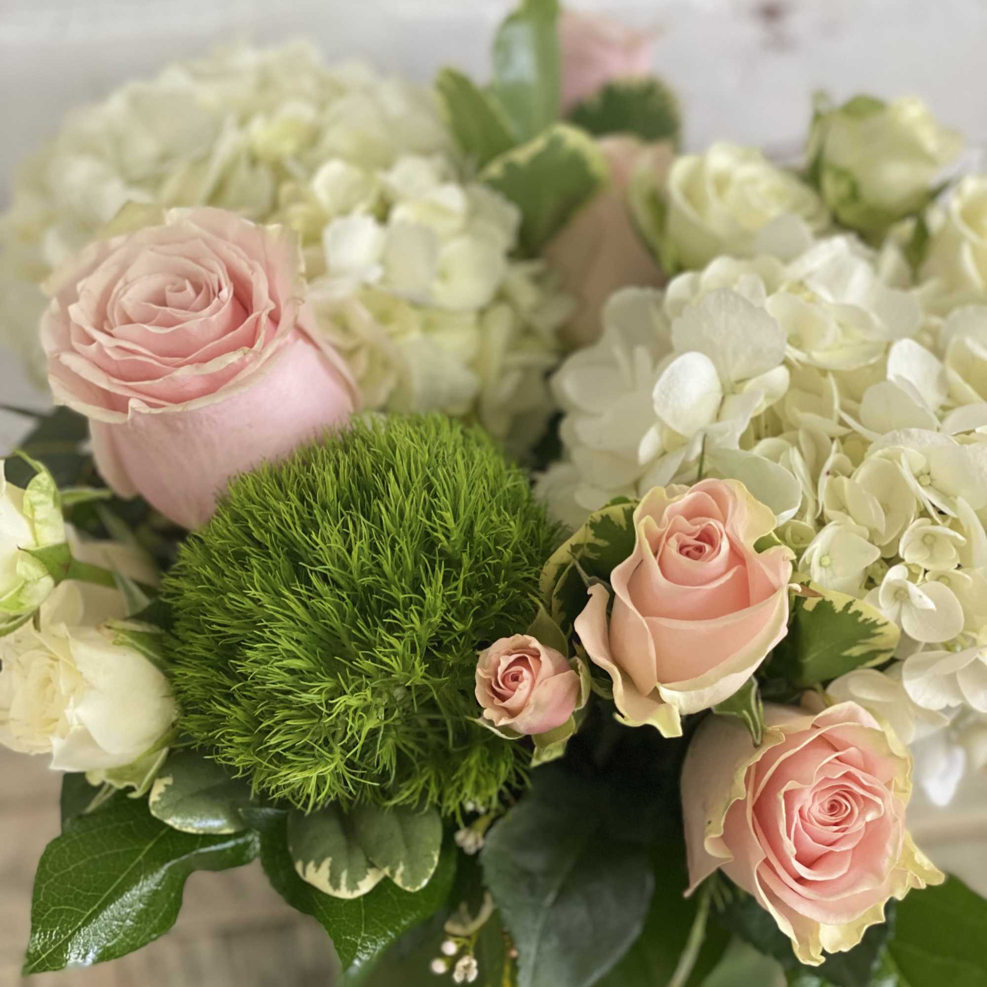 Pink roses and white hydrangeas arranged in a vase
