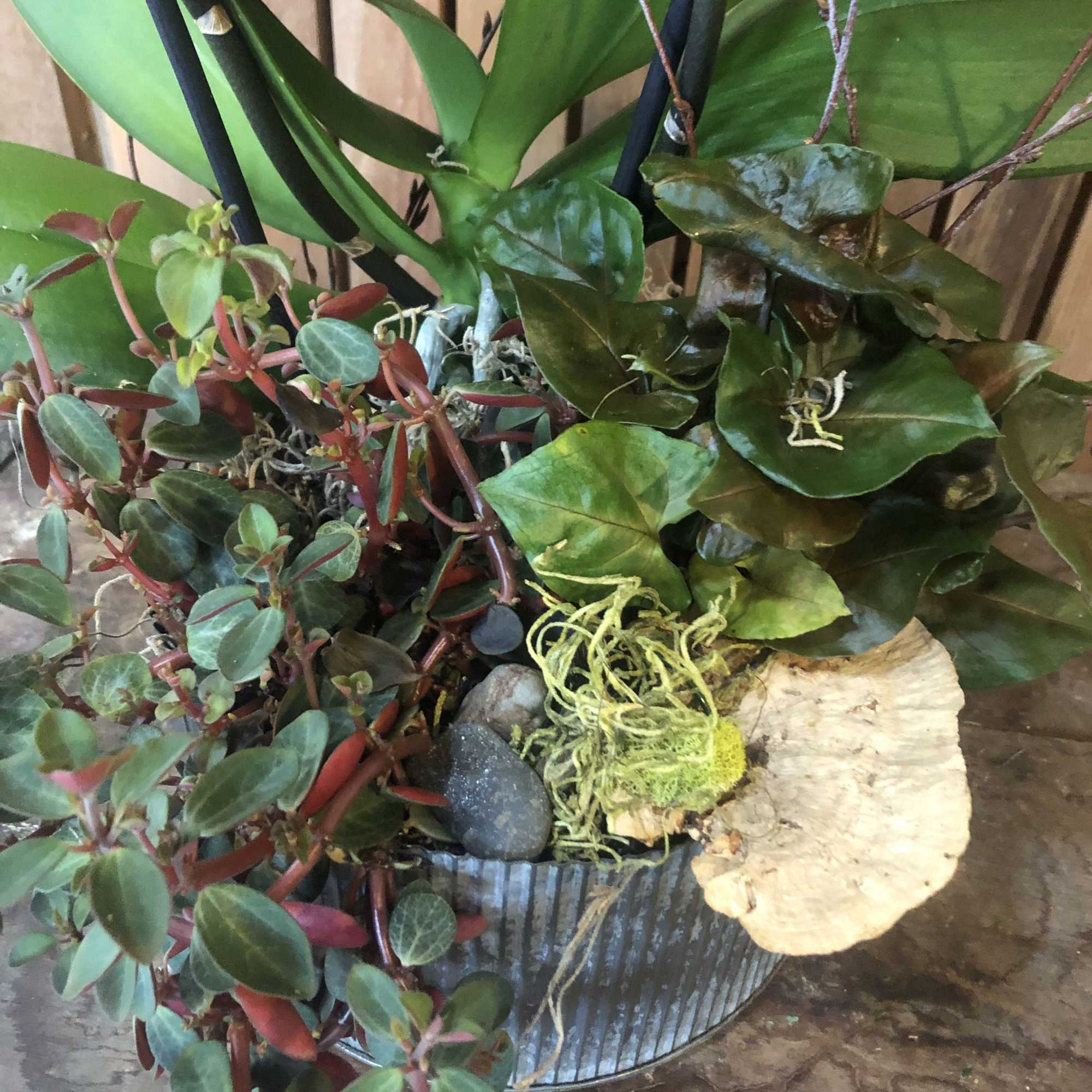 Mixed potted plants in a ribbed metal container with decorative stones