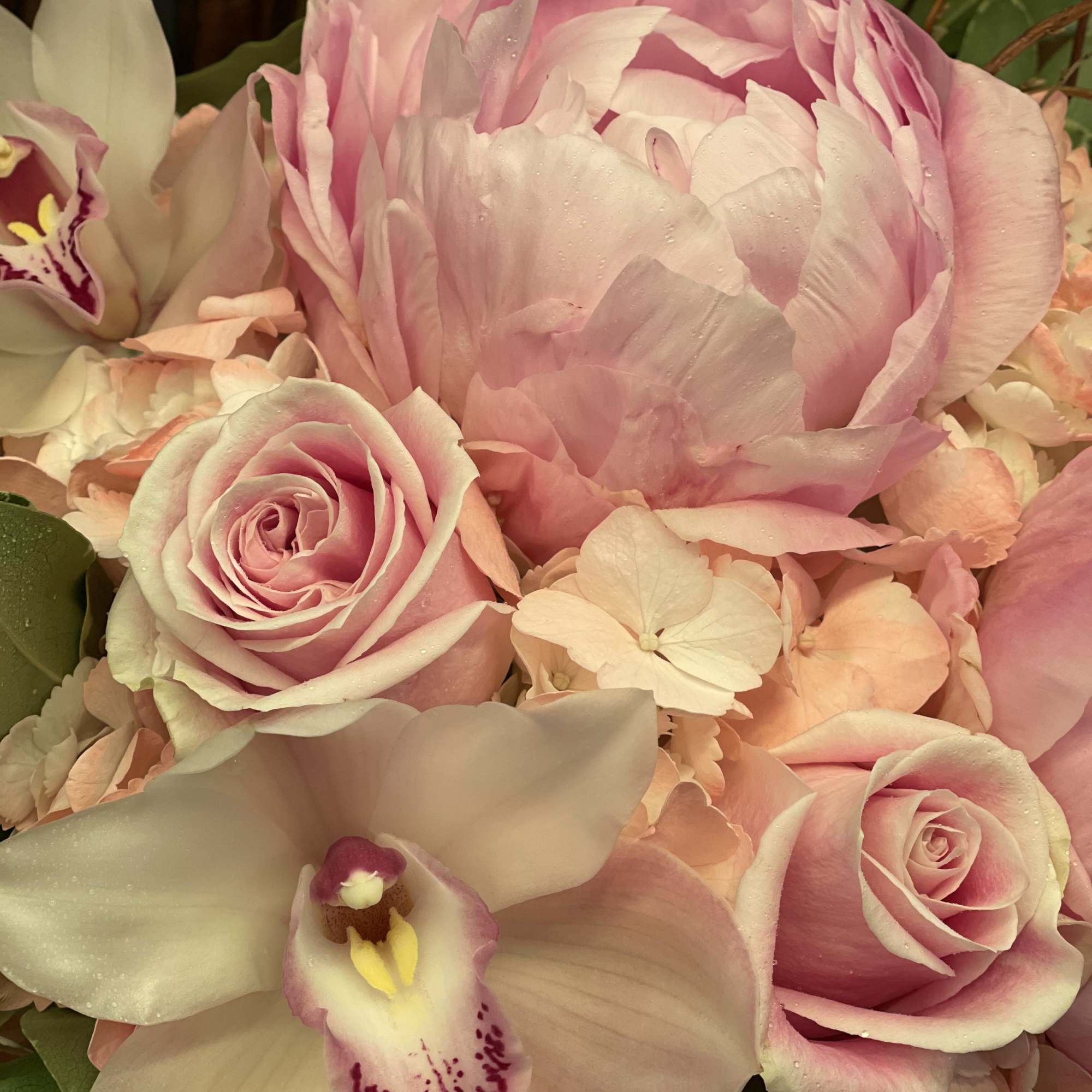 Pink peonies, roses, hydrangea, and orchids in a close-up bouquet