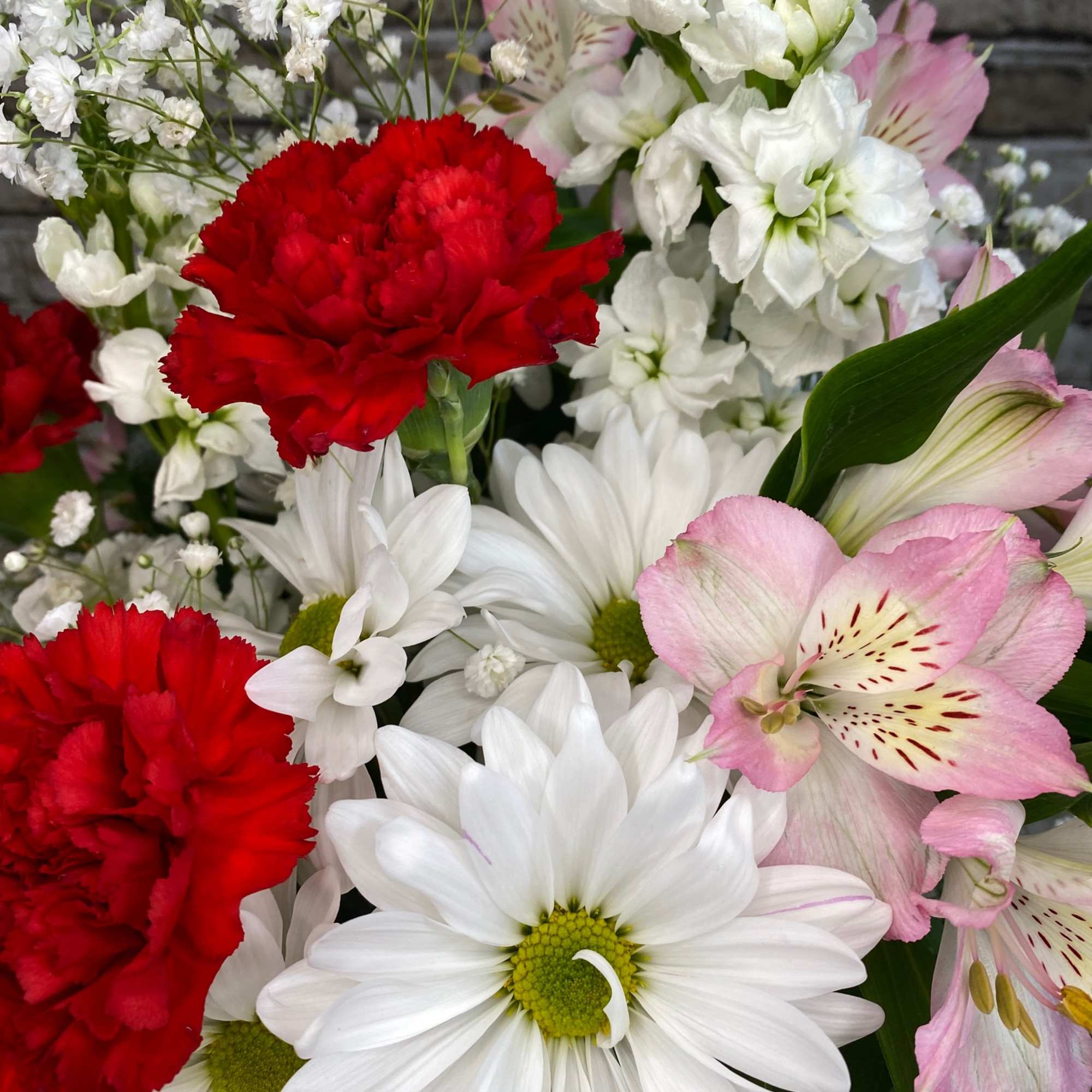 Bouquet of red carnations, white daisies, and pink alstroemeria