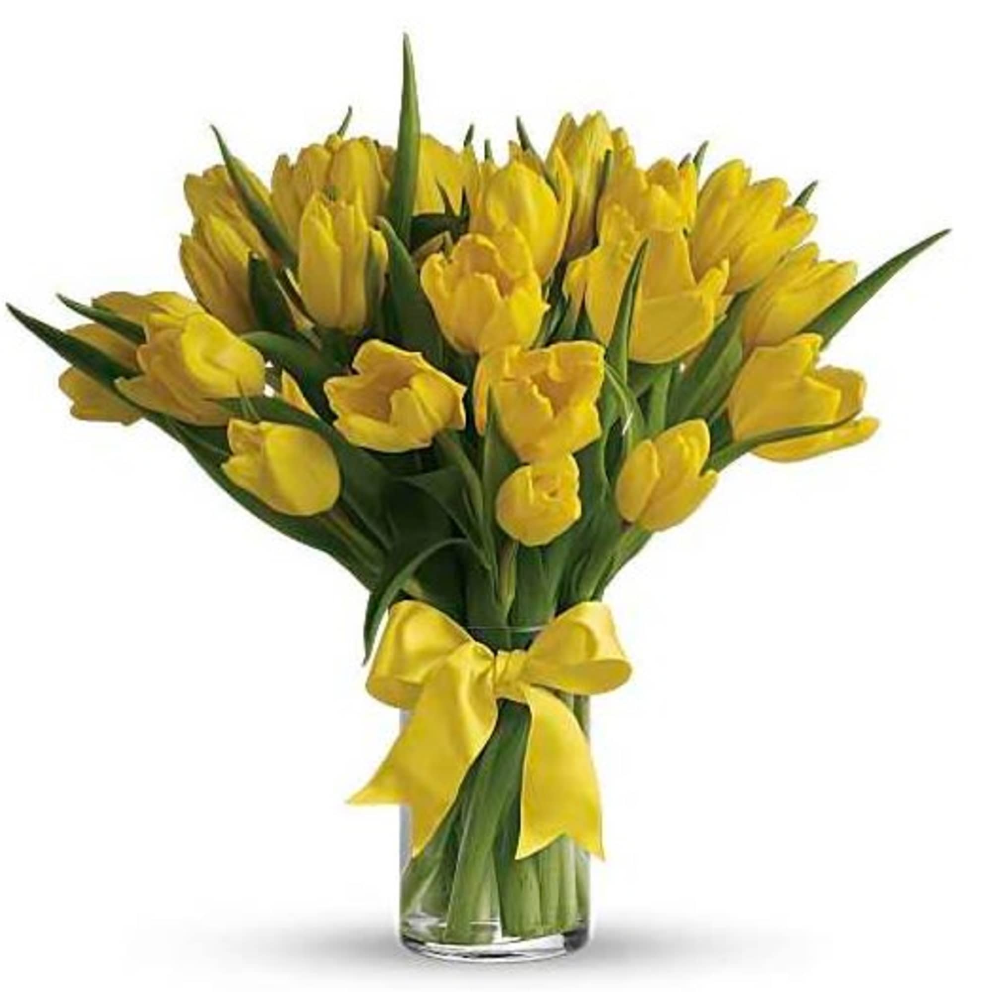 Bouquet of yellow tulips in a clear glass vase with a yellow ribbon