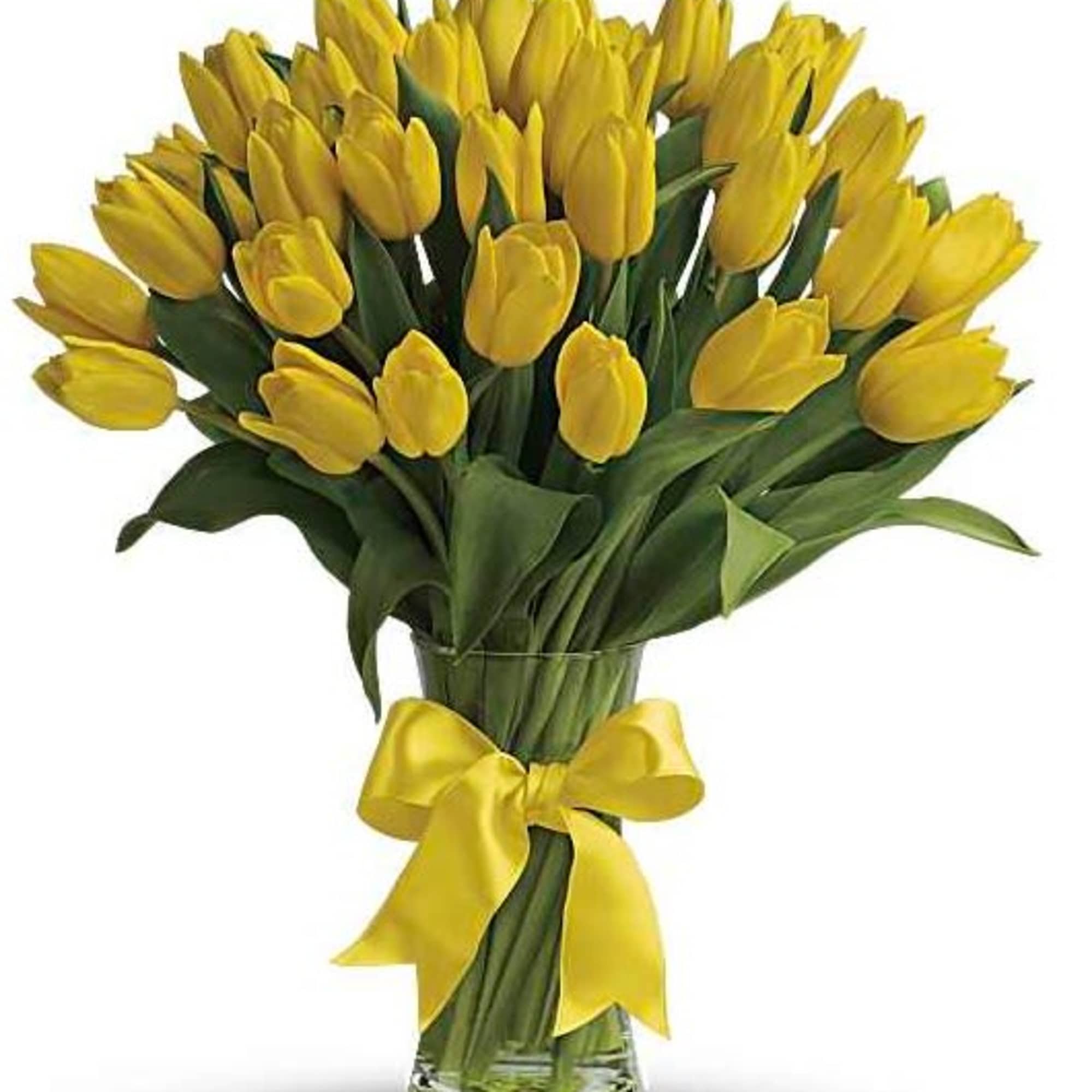 Sunny yellow tulips are a sure sign of spring. Even if the