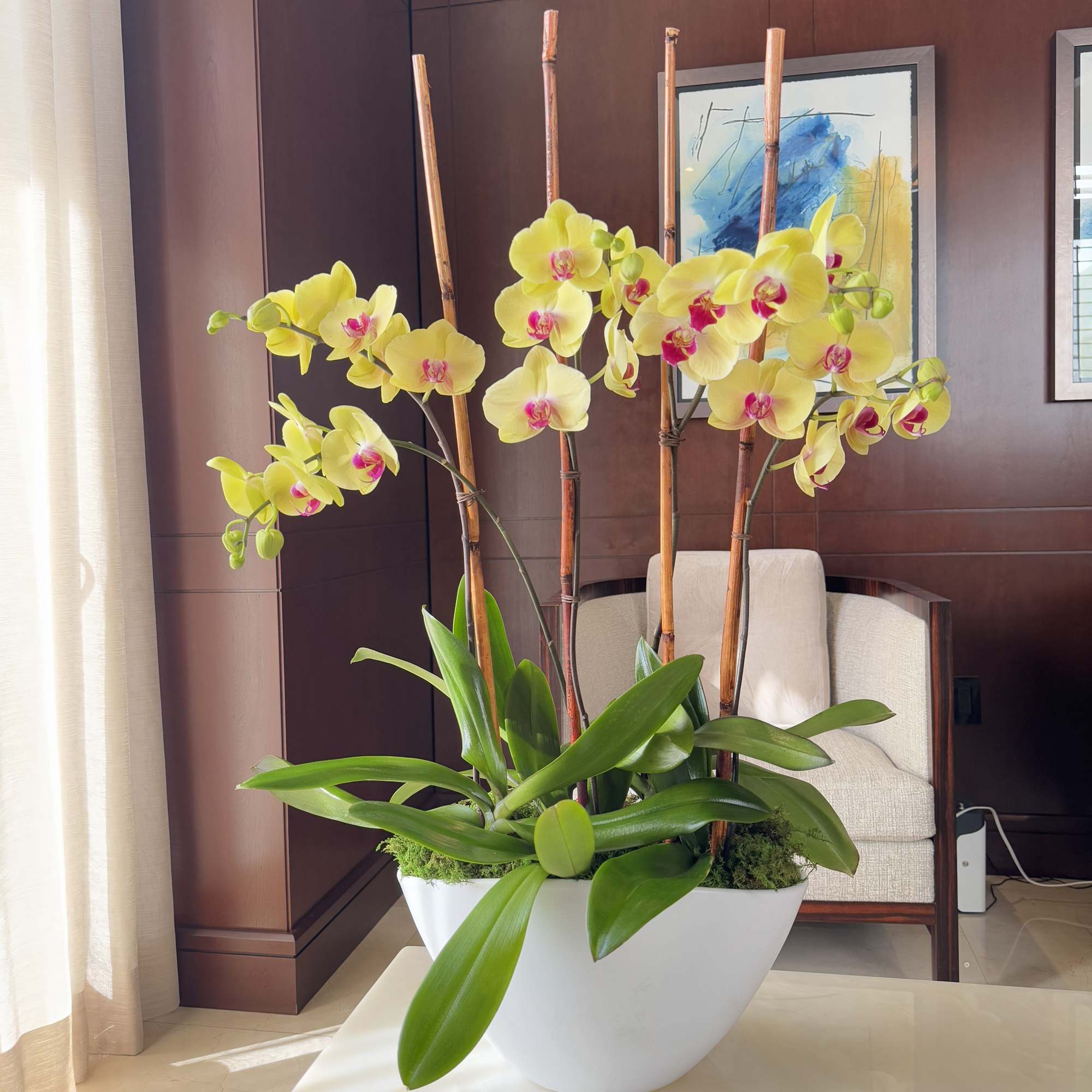 Yellow orchids arranged in a white bowl planter