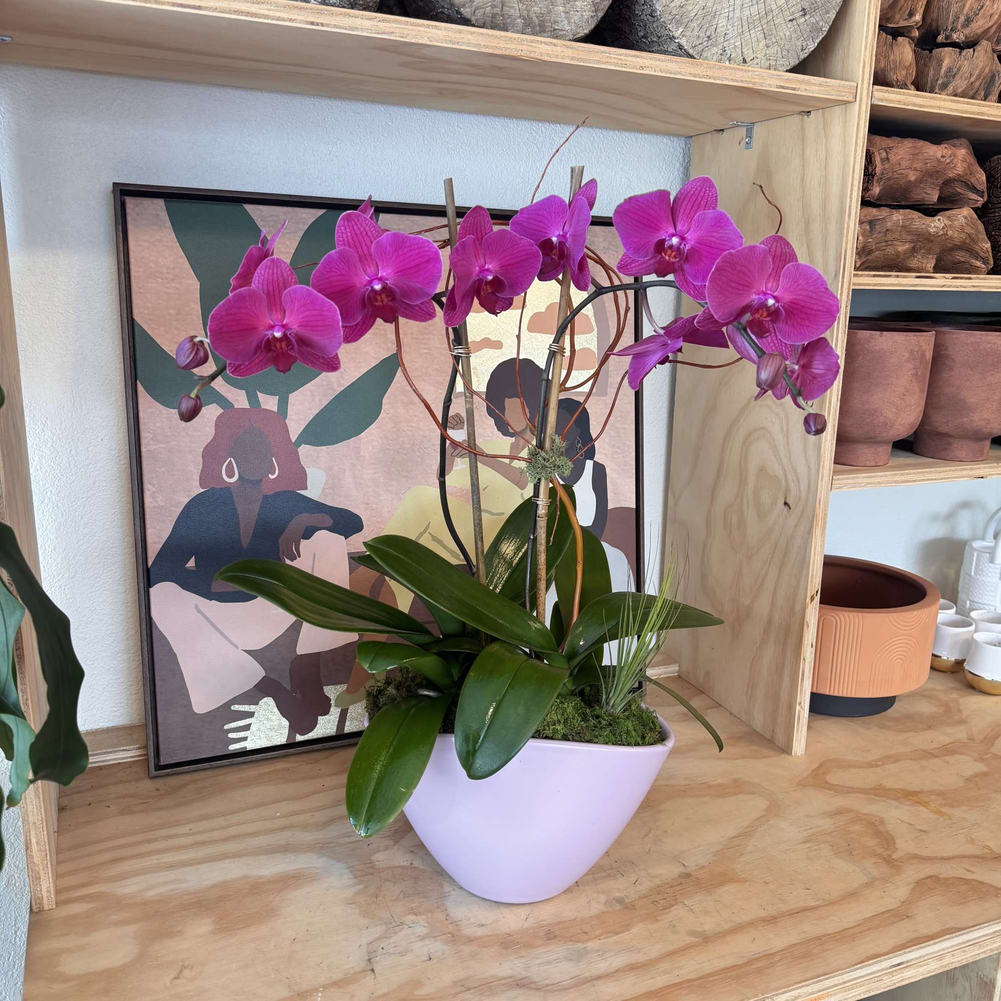 Pink orchids in a lavender pot on a shelf
