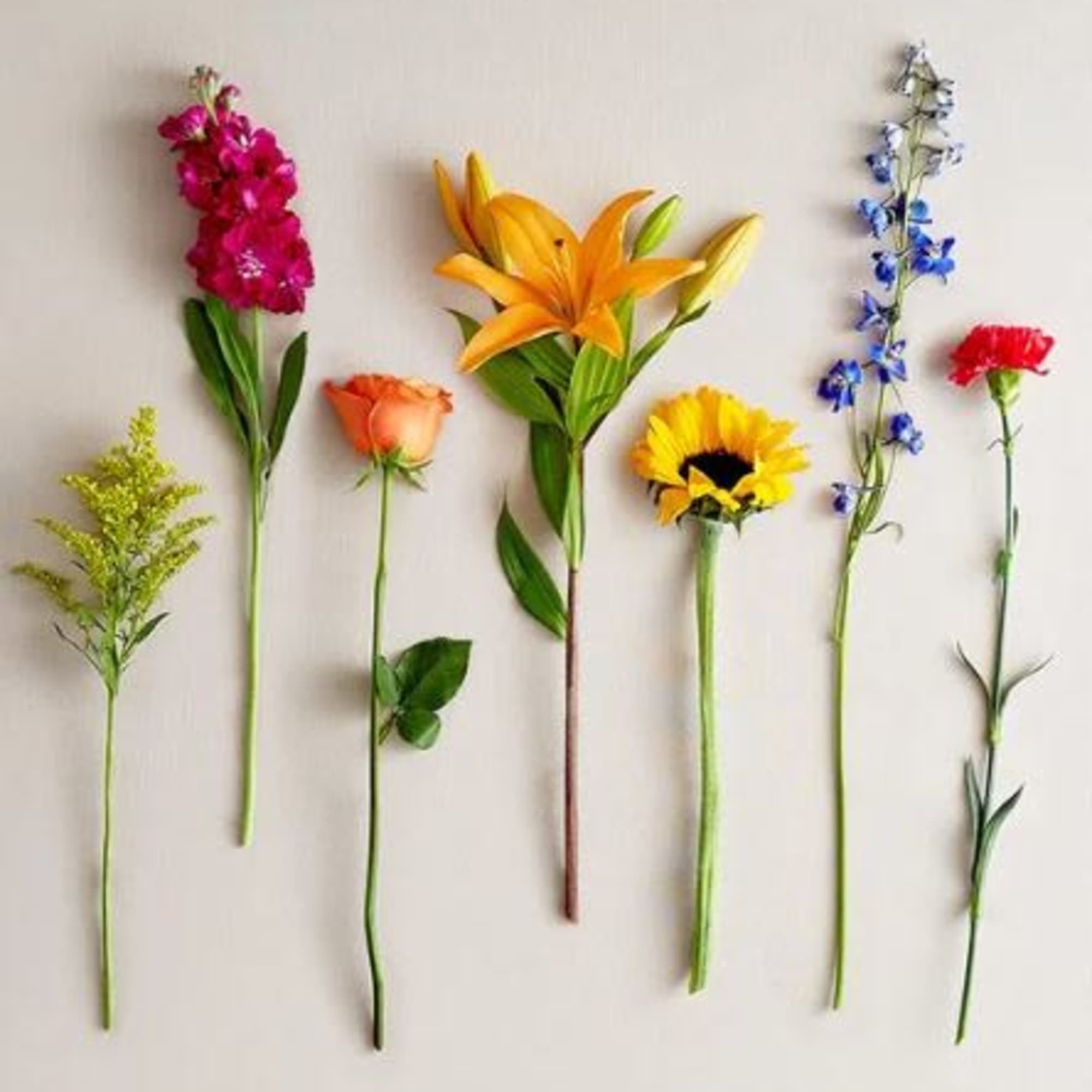  Pet Friendly?
No - This arrangement contains lilies, which are highly toxic