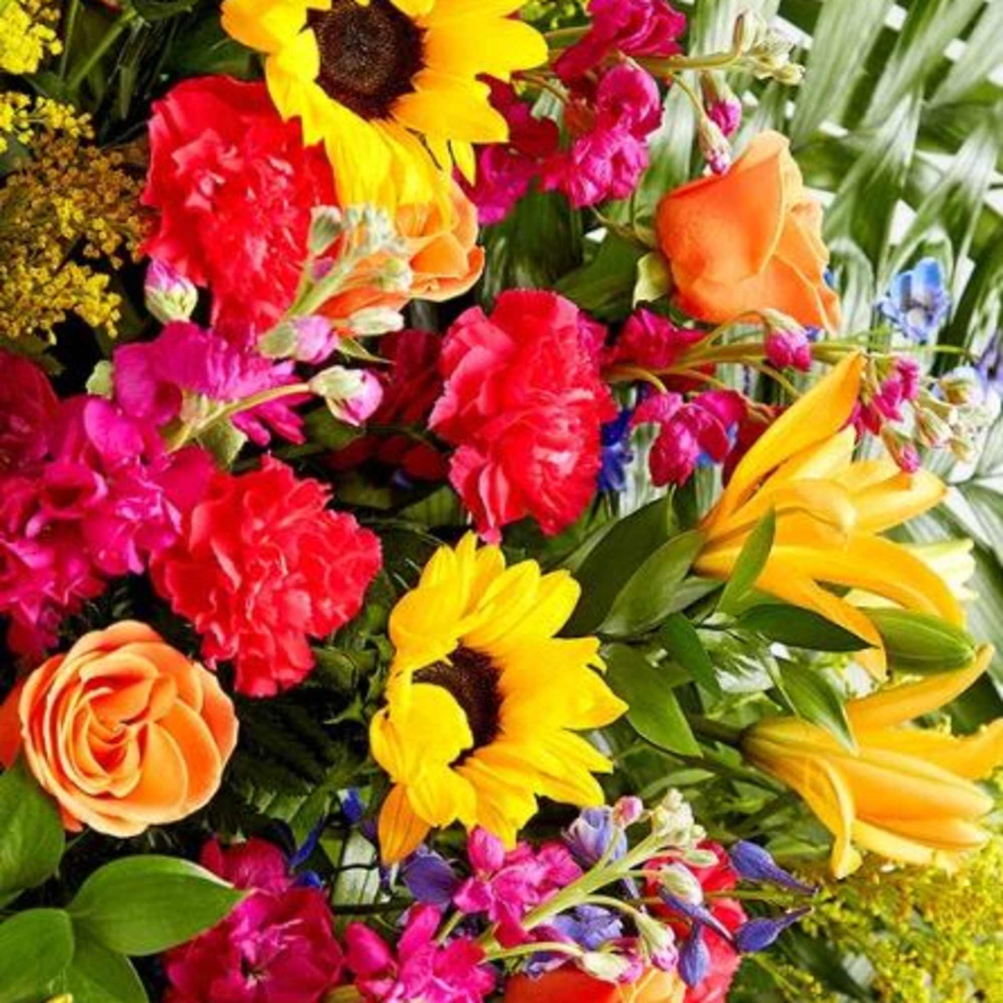  Pet Friendly?
No - This arrangement contains lilies, which are highly toxic