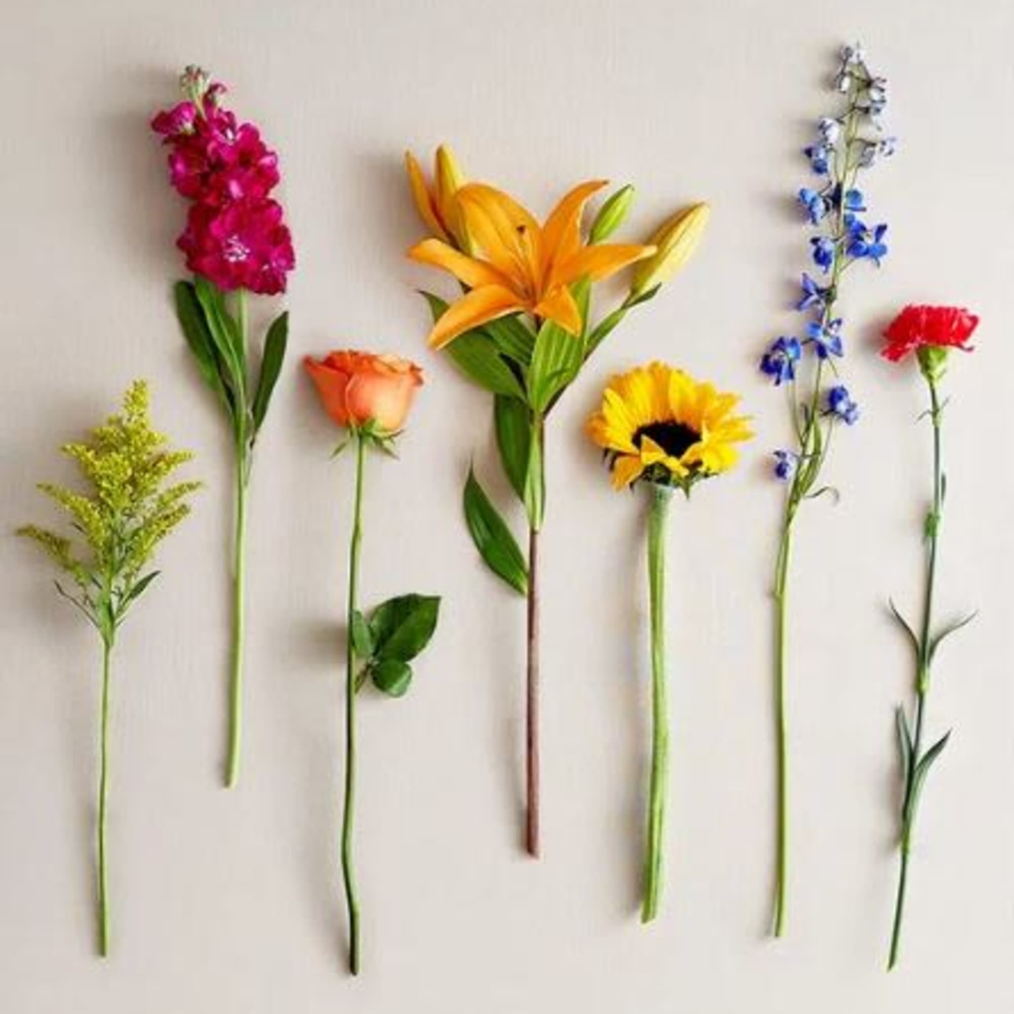 Pet Friendly?
No - This arrangement contains Asiatic Lilies, which are highly toxic