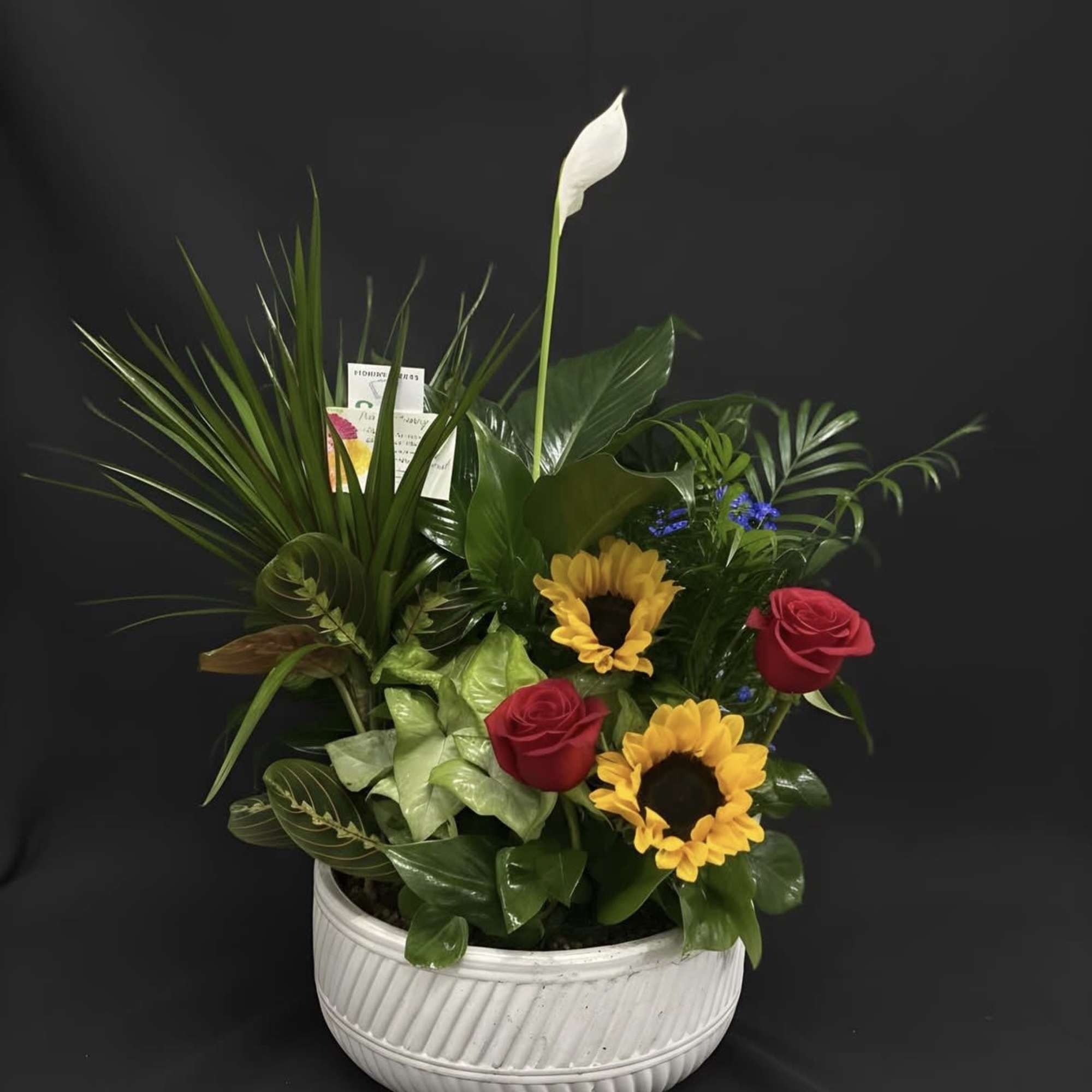Mixed green plant garden with yellow sunflowers, red roses, and a white bloom in a white ceramic bowl