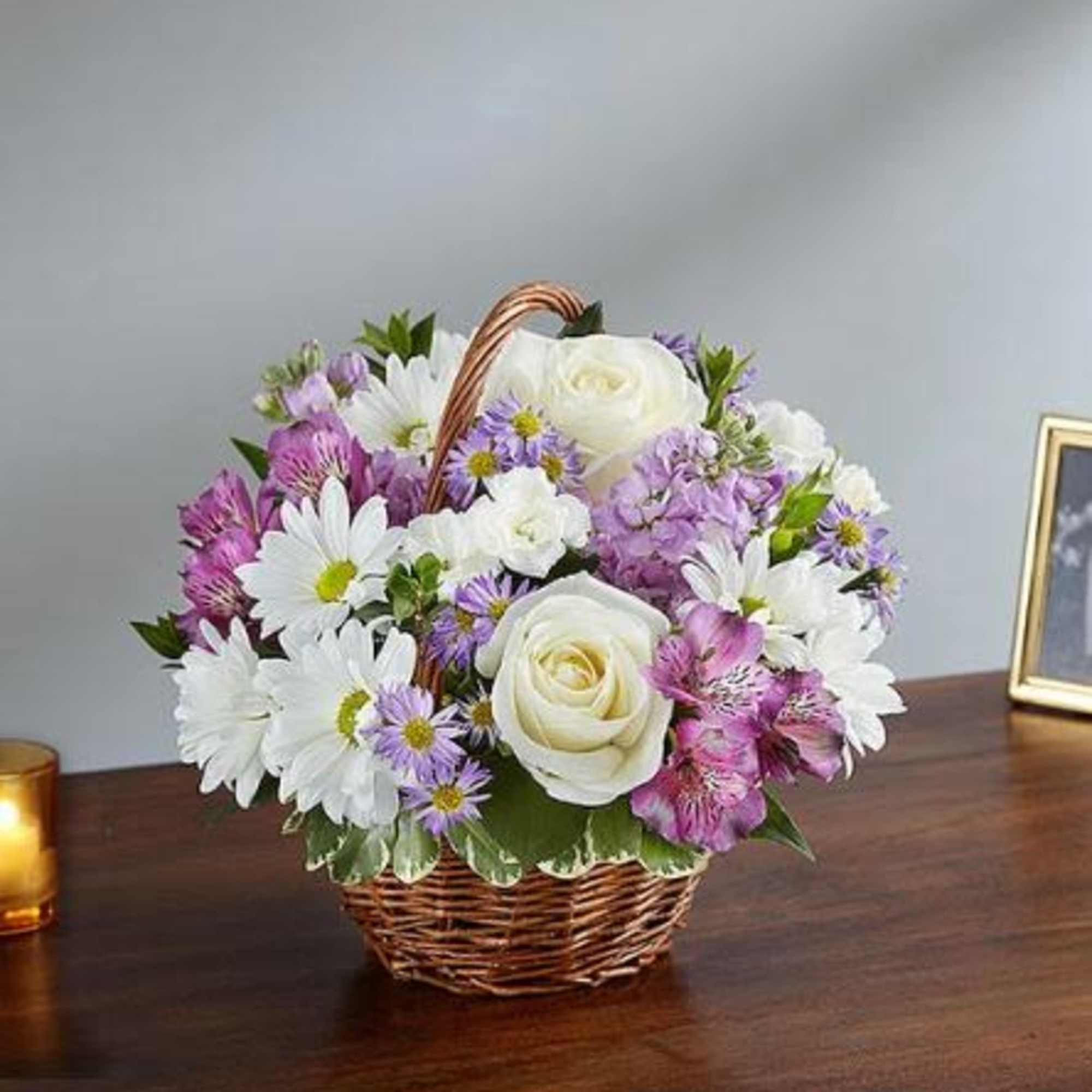 Pet Friendly?
No - This arrangement contains daisies (chrysanthemums) and asters, which are