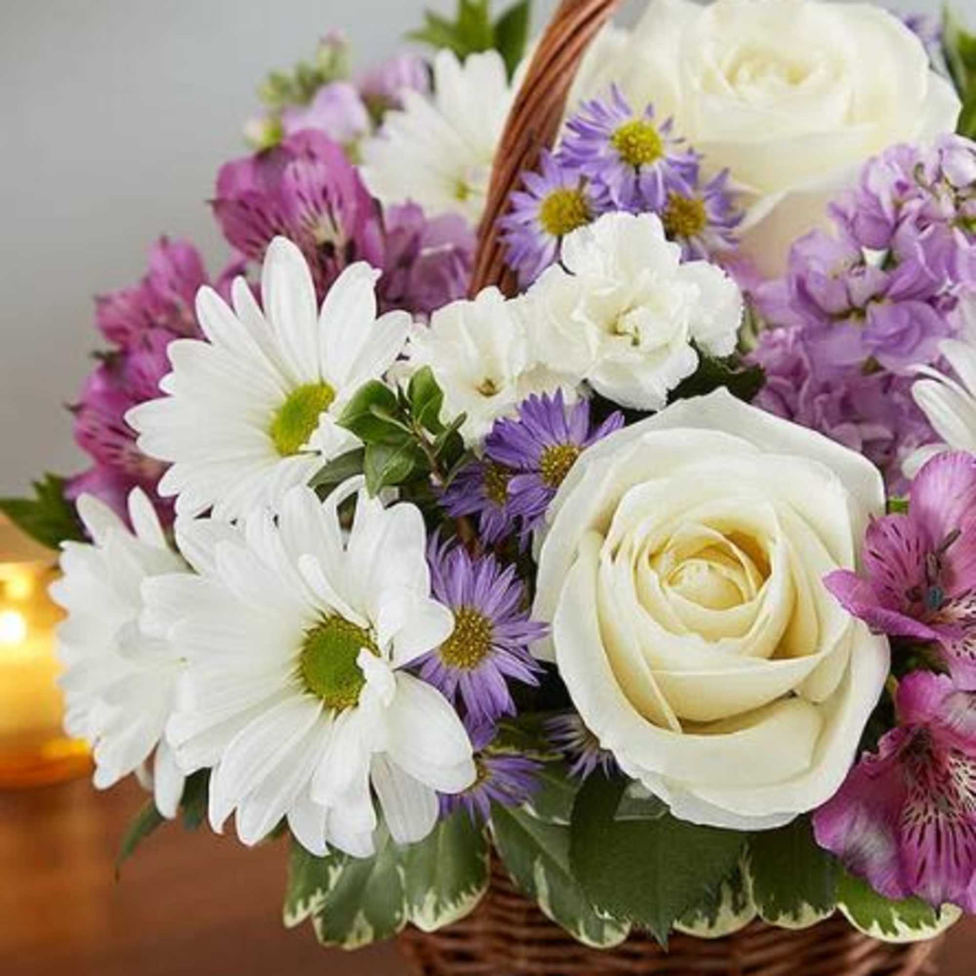 Pet Friendly?
No - This arrangement contains daisies (chrysanthemums) and asters, which are