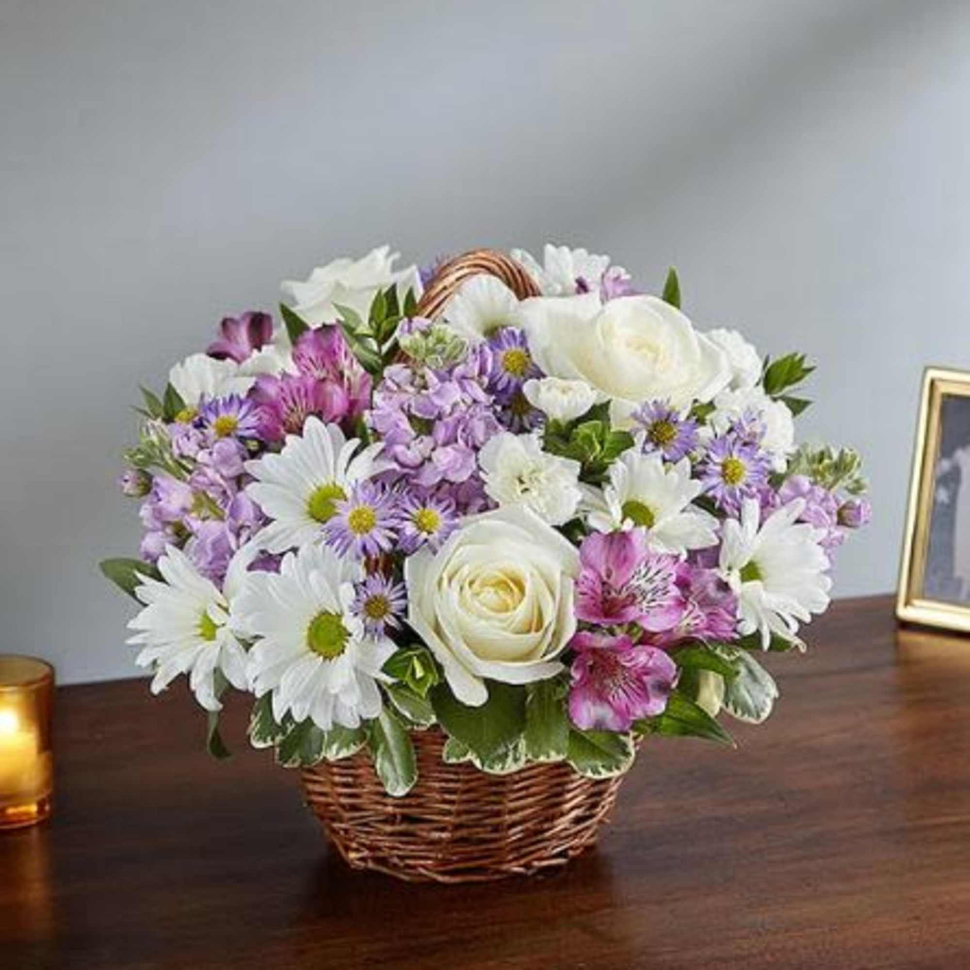 Pet Friendly?
No - This arrangement contains daisies (chrysanthemums) and asters, which are