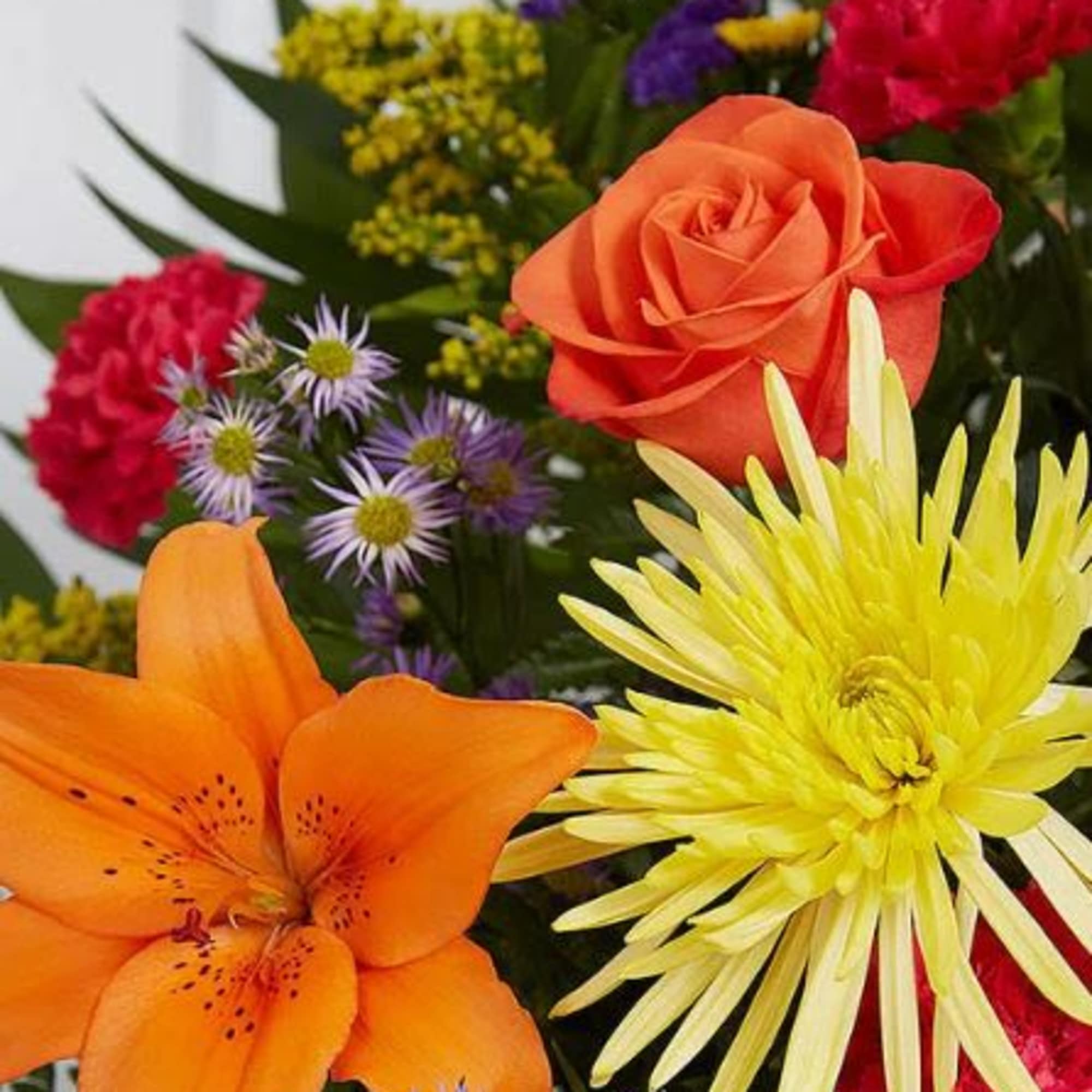 Pet Friendly?
No. This arrangement contains Asiatic Lilies, which are highly toxic to