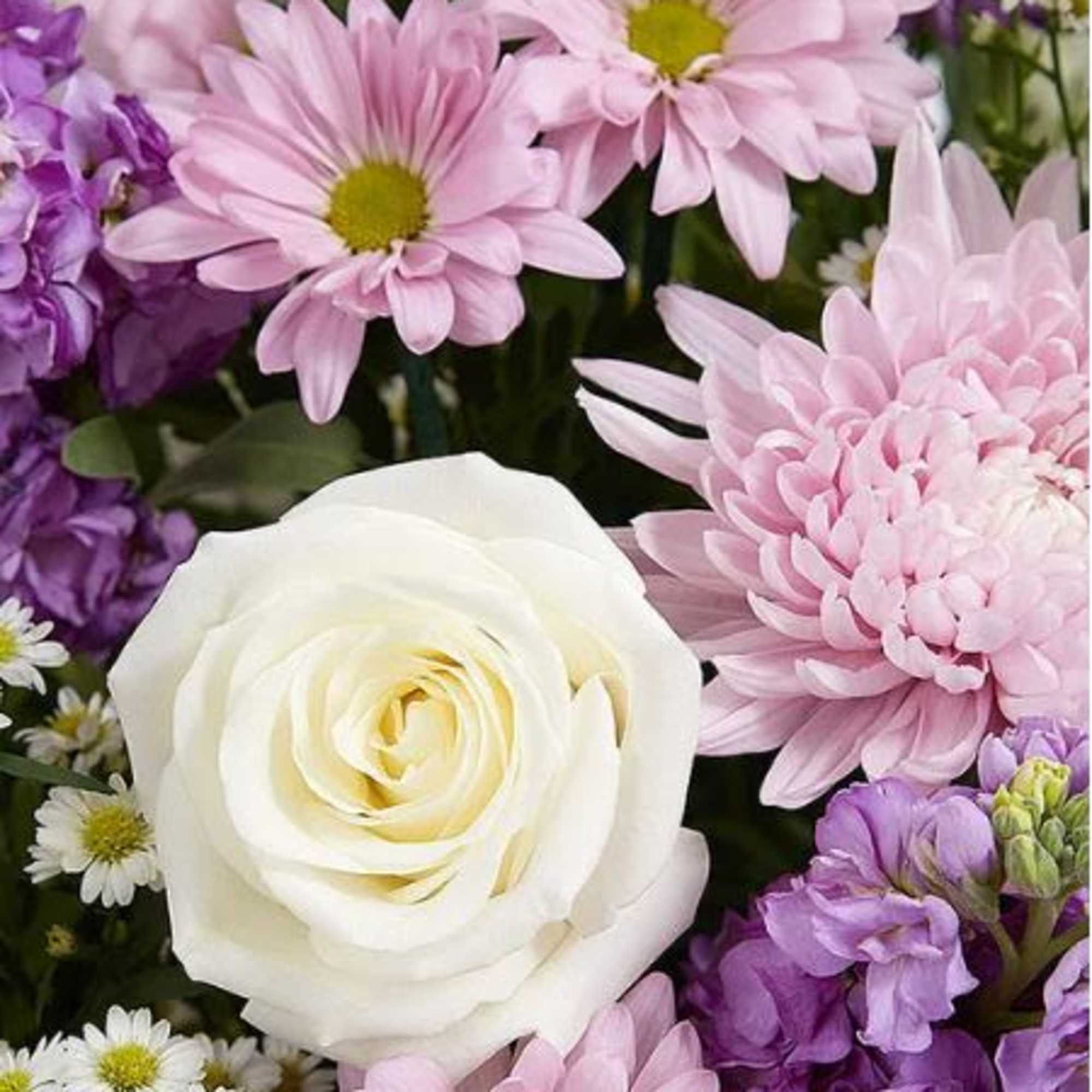  Pet Friendly?
No This arrangement contains Football Mums and Daisy Poms (Chrysanthemums)