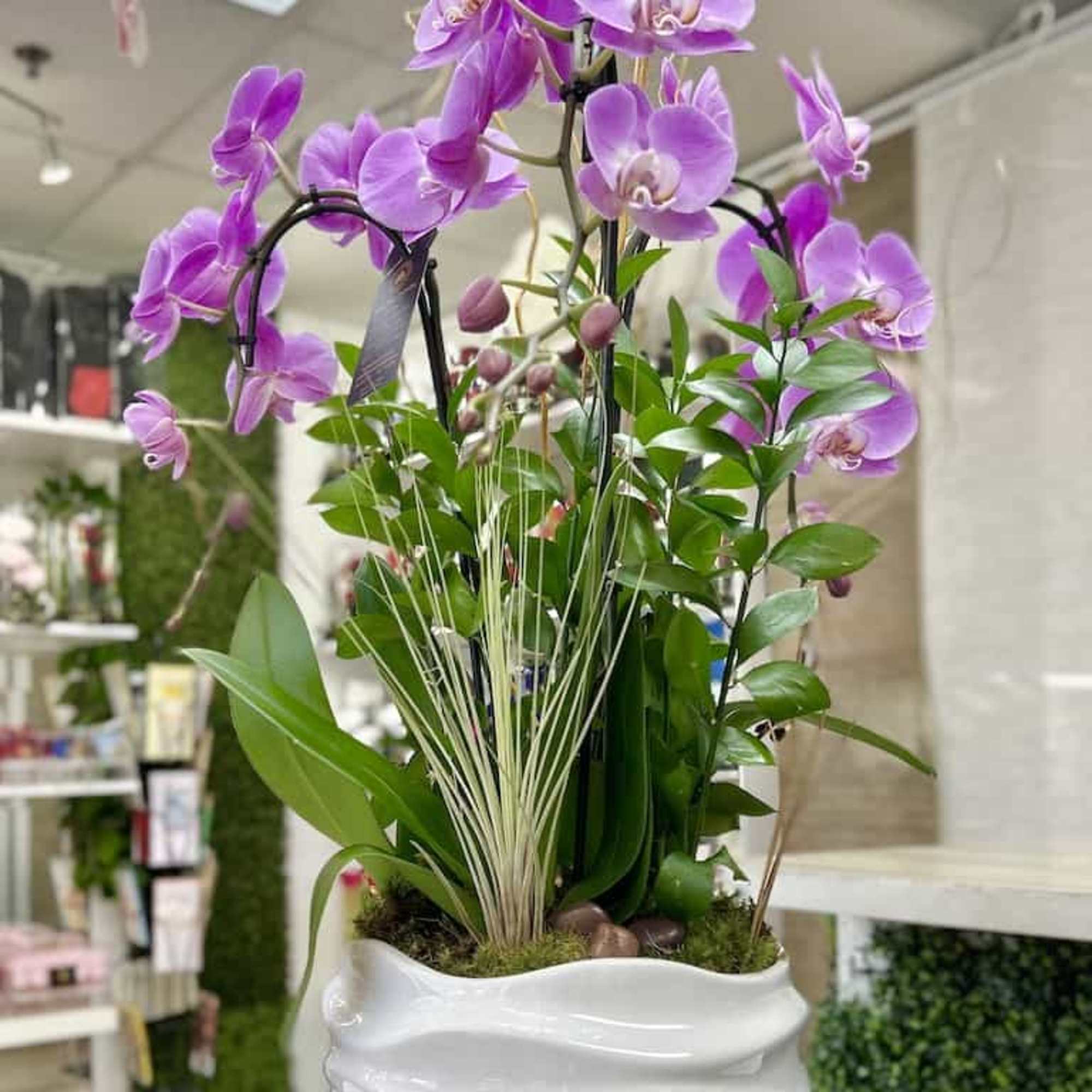 Tall planter of purple orchids and mixed foliage in a sculpted white ceramic bowl