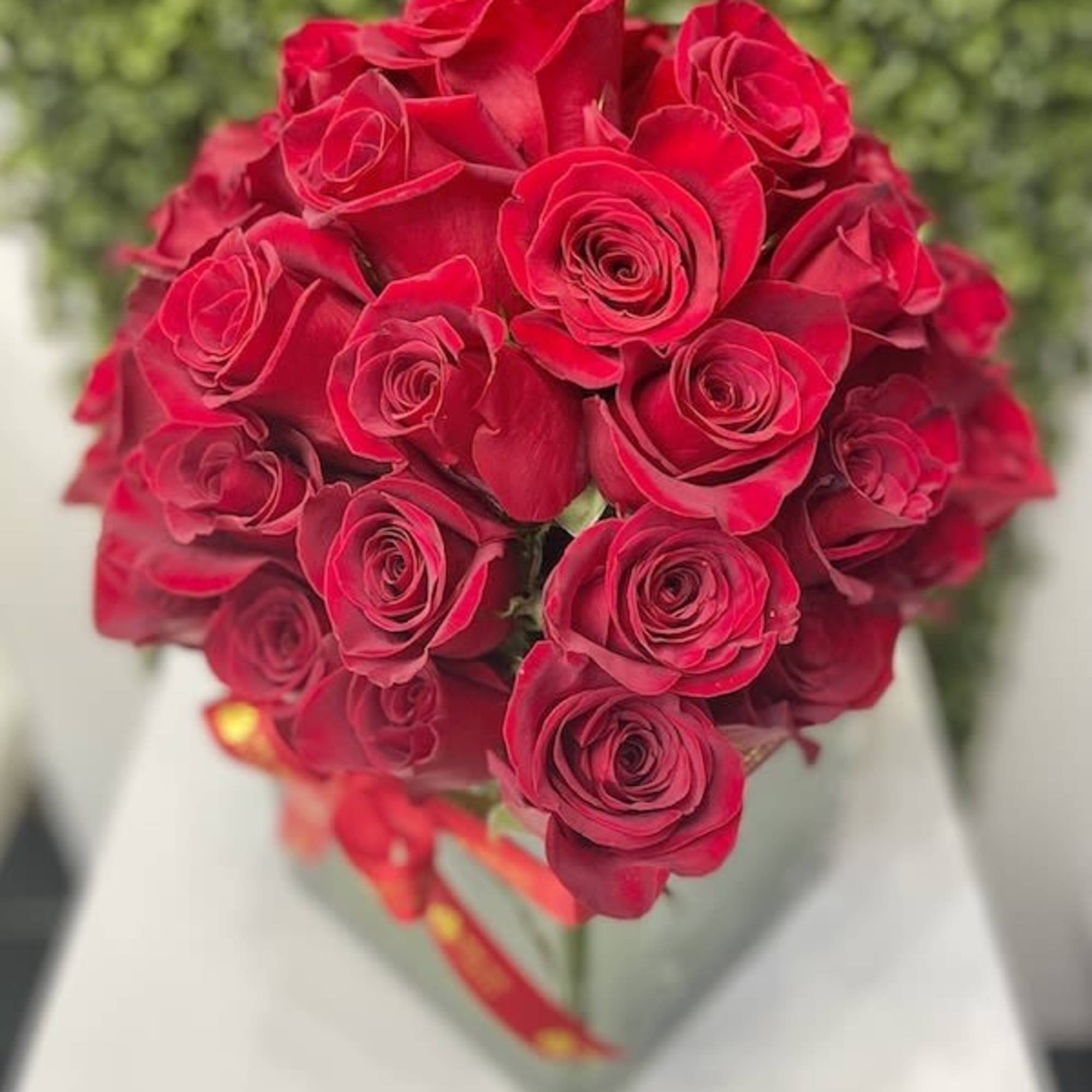 Tight cluster of red roses arranged in a clear square glass vase with a red ribbon