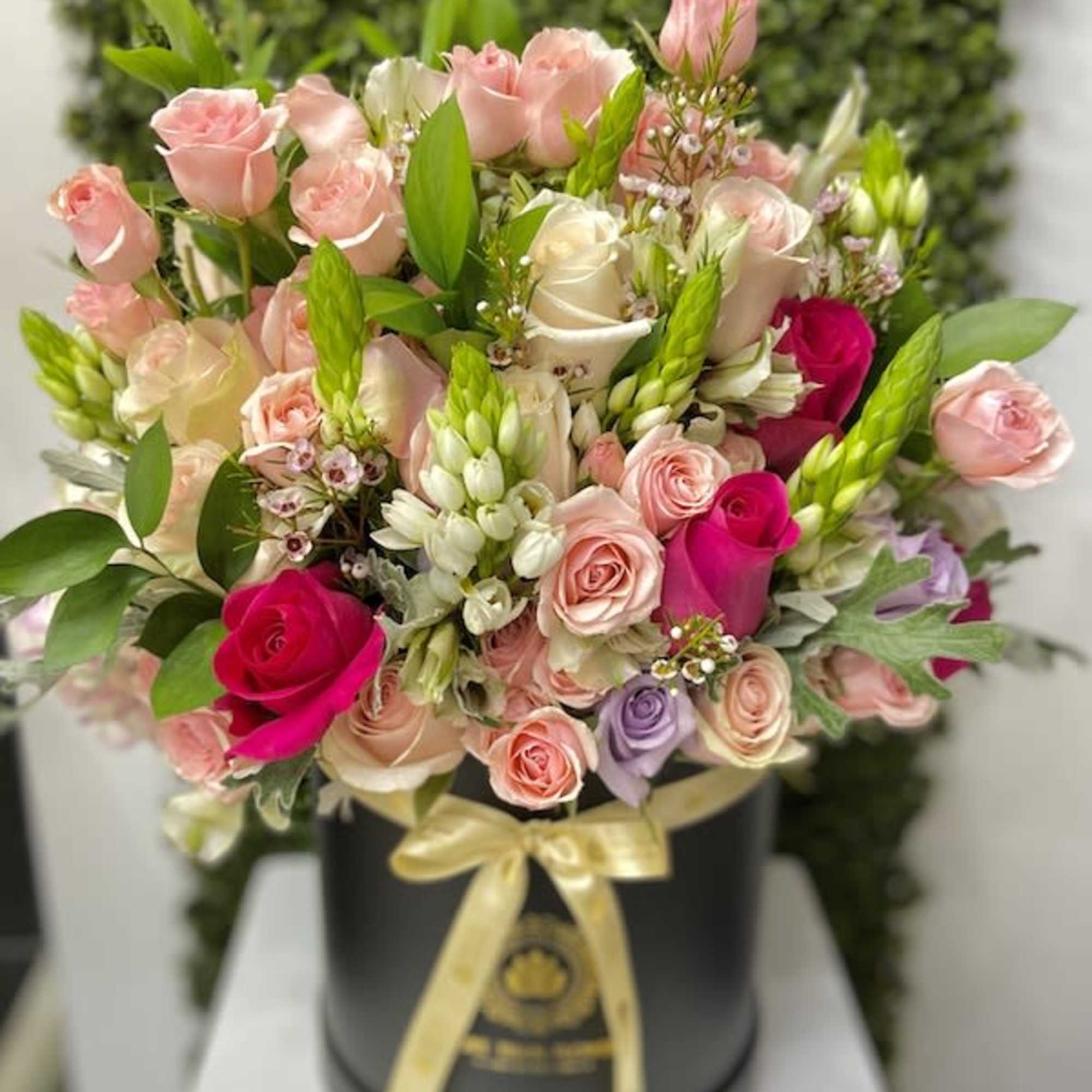 Round hatbox arrangement of pink, white, and hot pink roses with accents in a black box tied with a gold bow