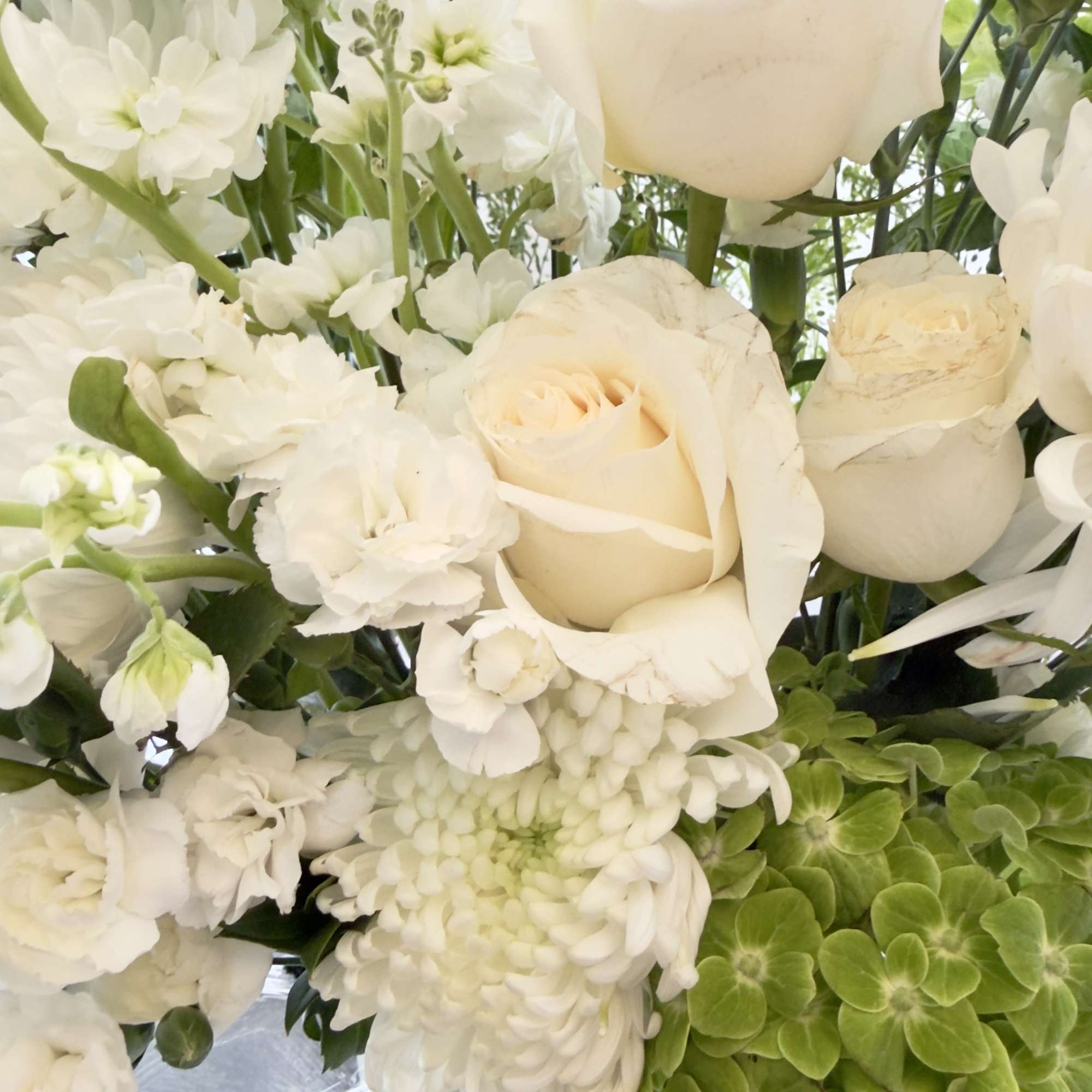 White roses and chrysanthemums with green hydrangea in a vase