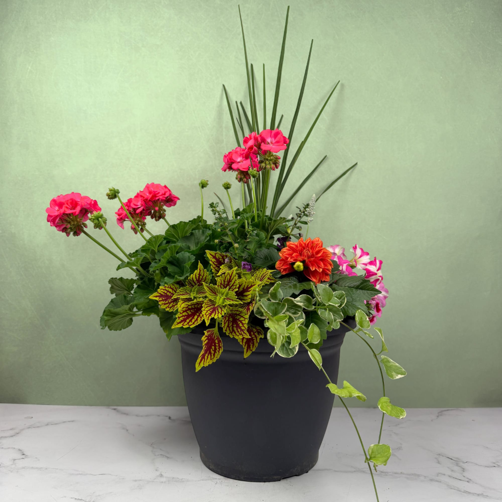 A burst of vibrant flowering plants and lush foliage make this outdoor