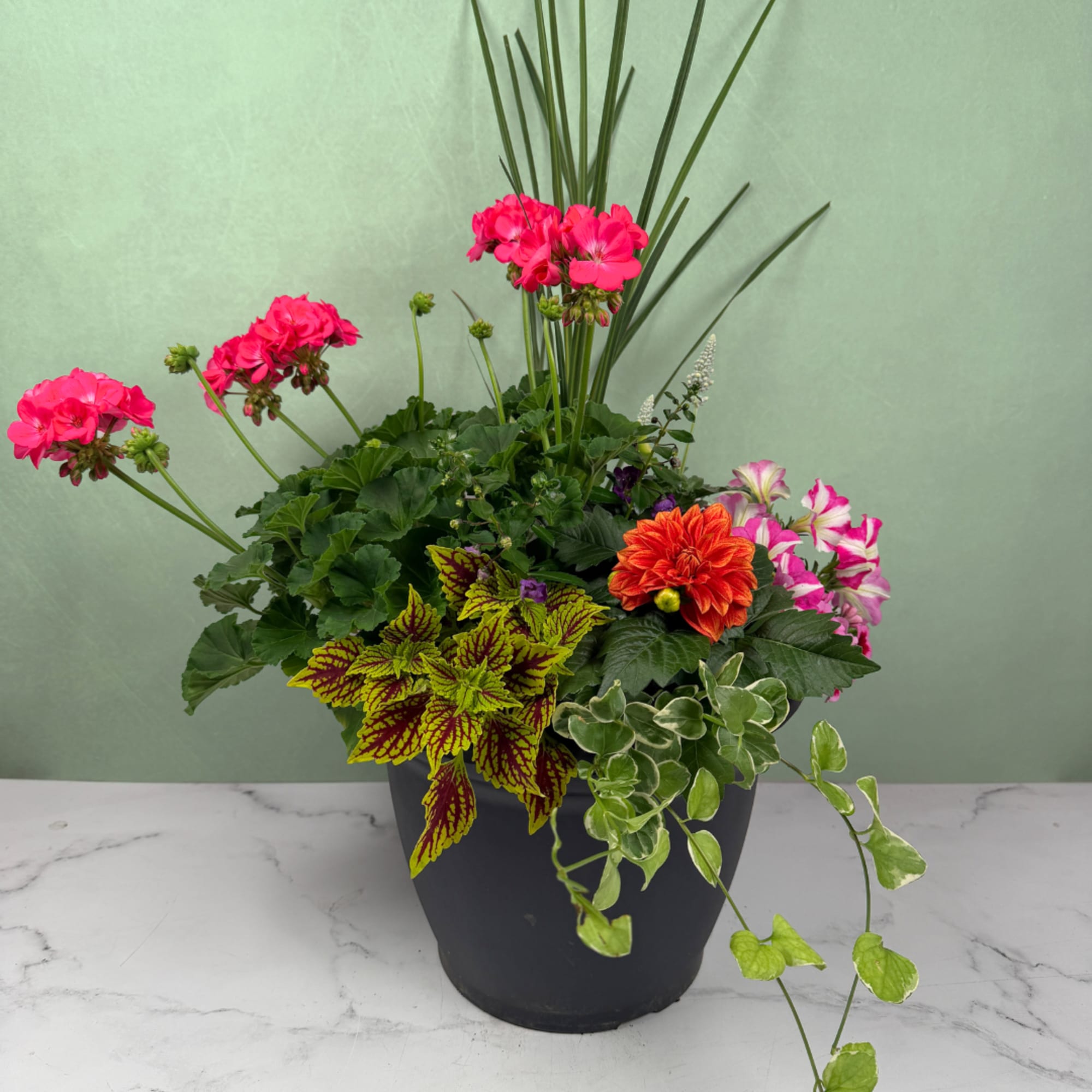 A burst of vibrant flowering plants and lush foliage make this outdoor