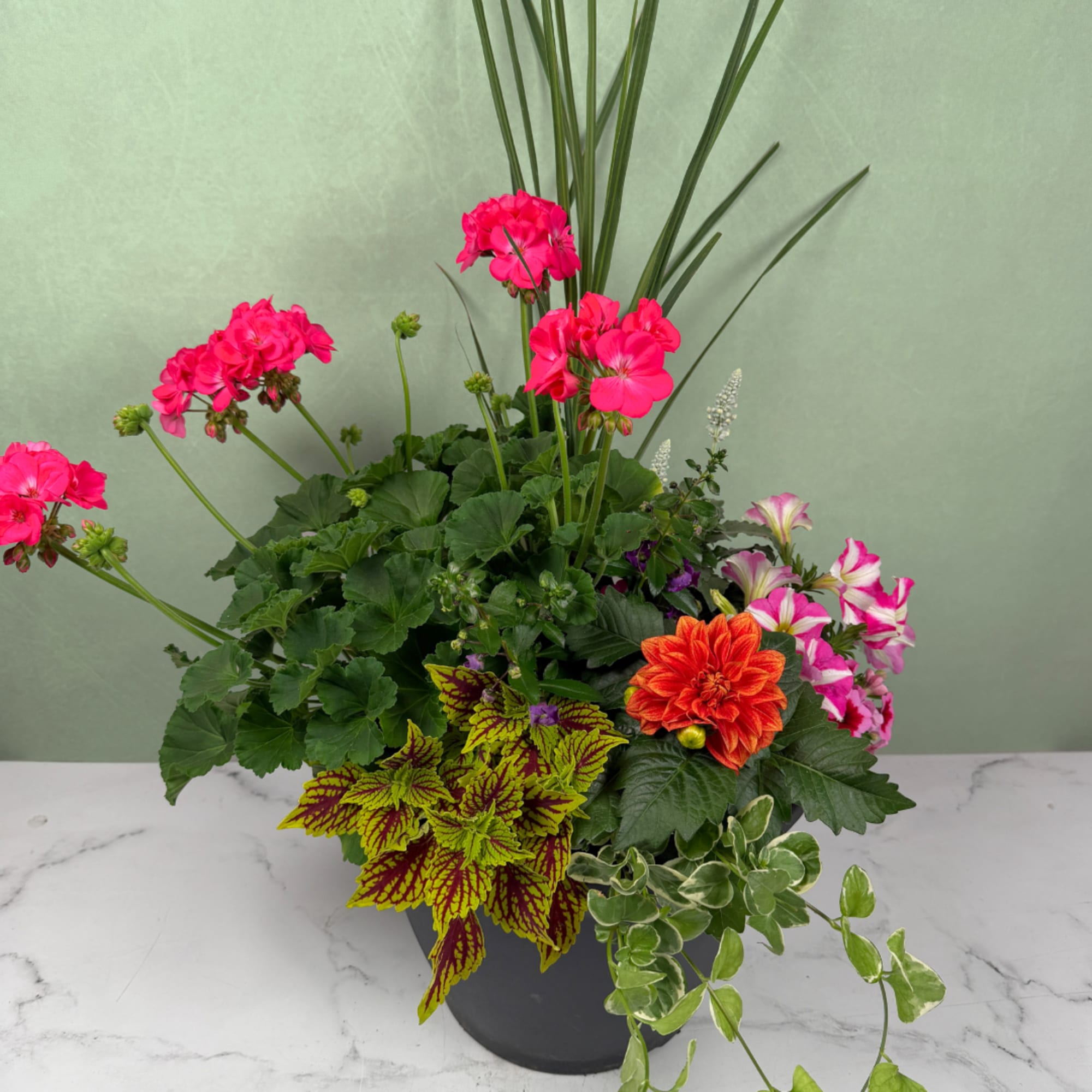 A burst of vibrant flowering plants and lush foliage make this outdoor