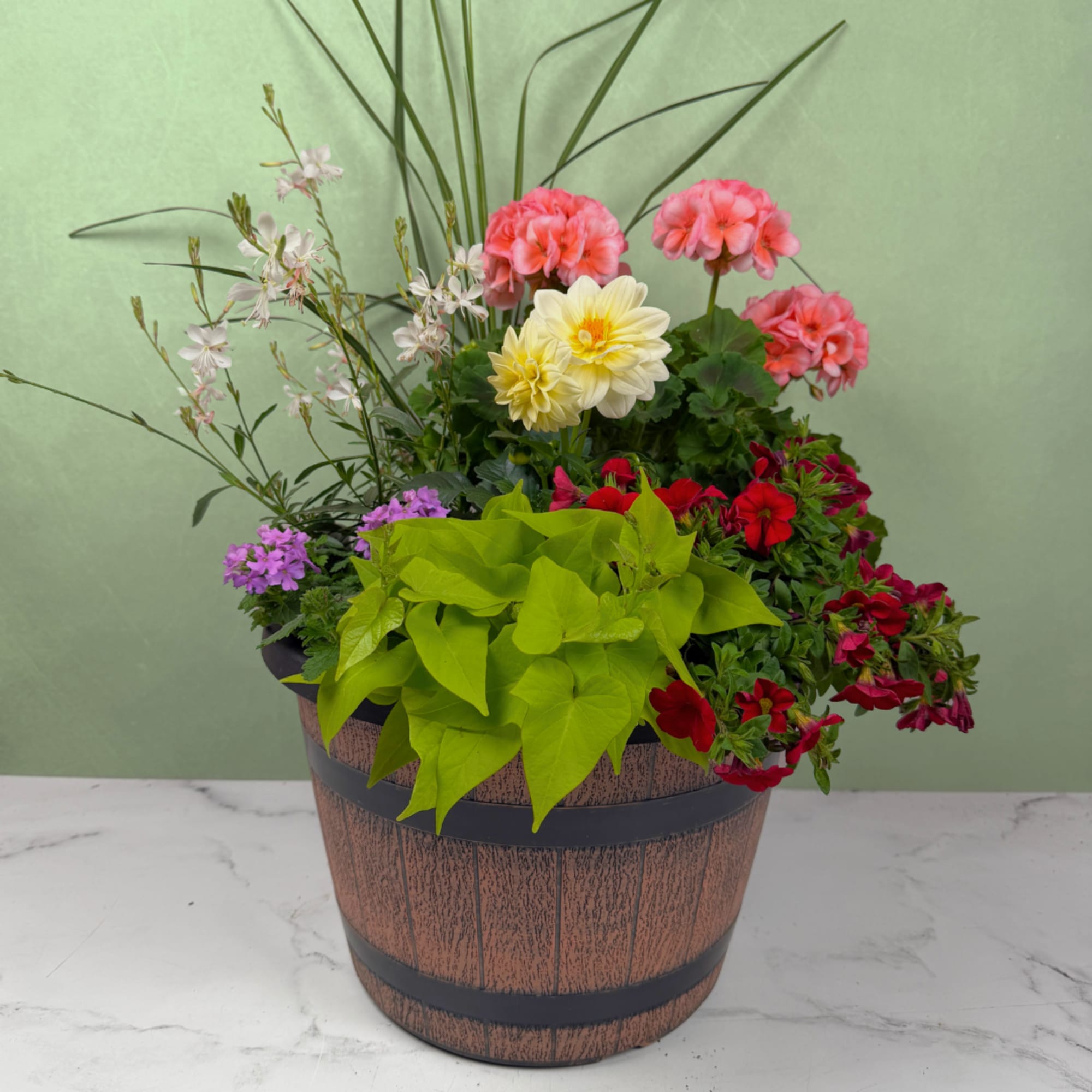 A large, lively mix of potted flowering plants creates a showstopper of