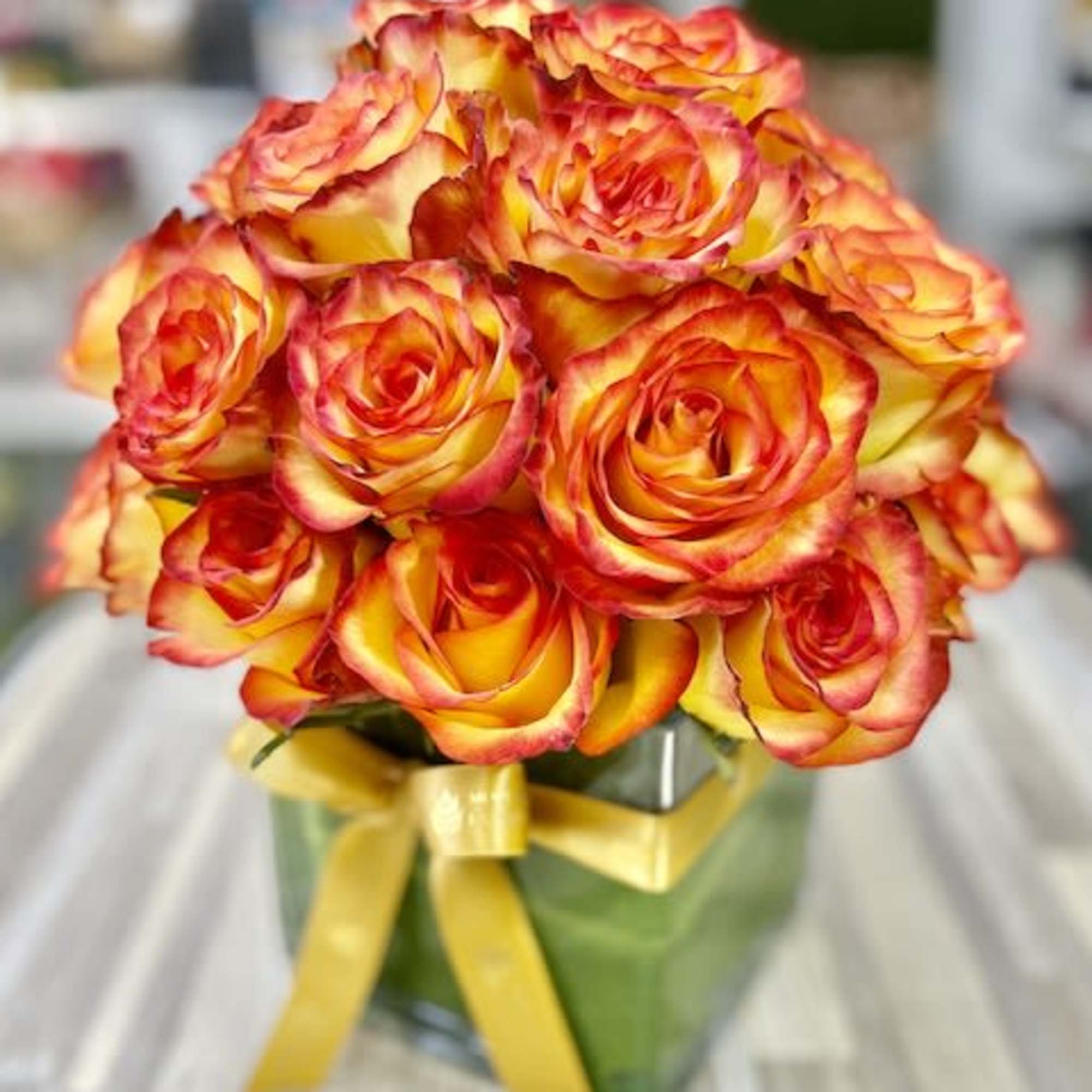 Compact bouquet of yellow and red roses in a glass cube vase with a yellow ribbon bow.
