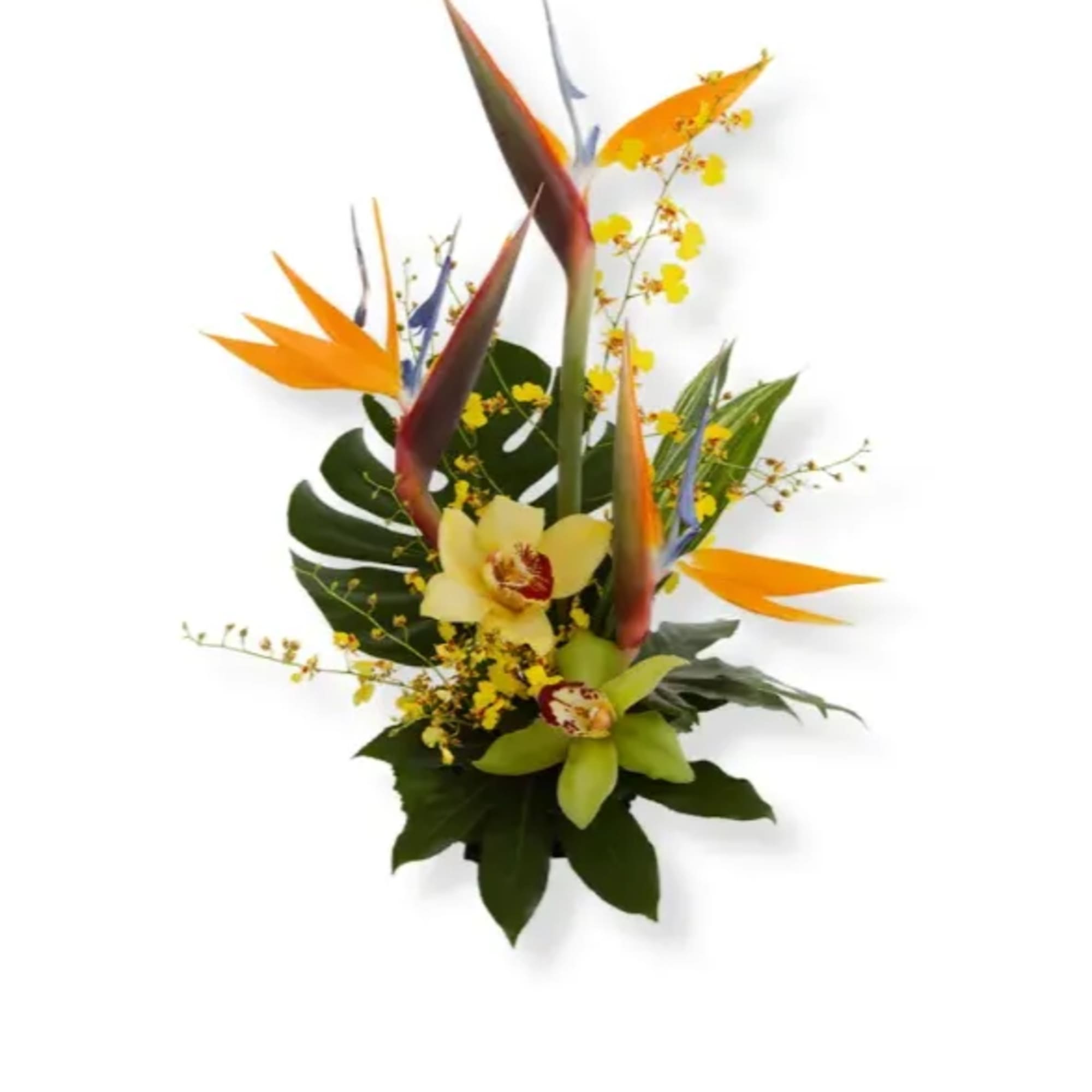 Tropical bouquet with bird-of-paradise and orchids