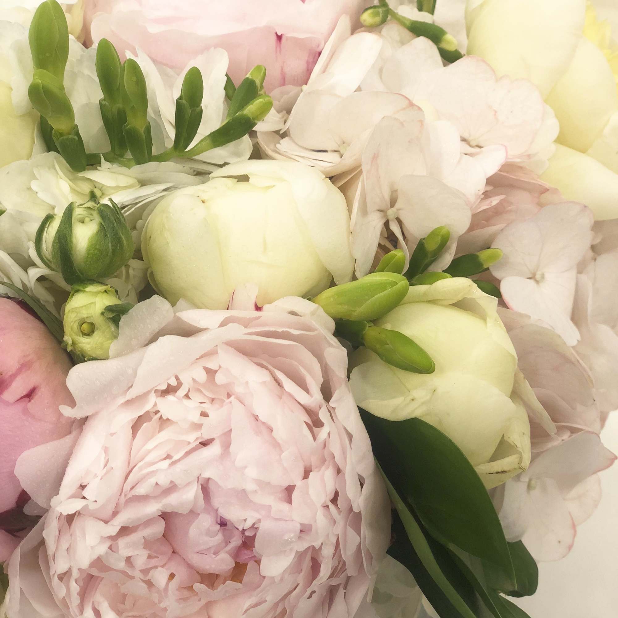 Soft pink and white bouquet with peonies and small white blooms