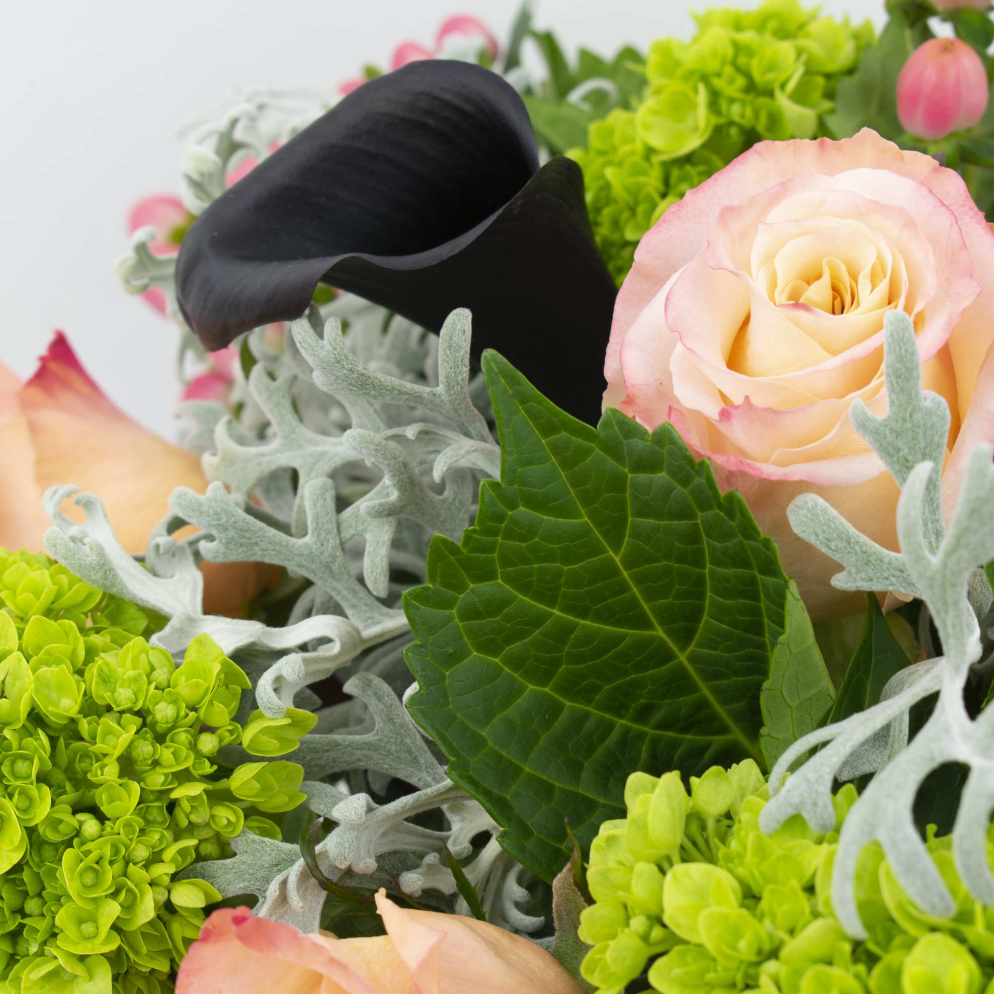 Bouquet of peach roses, black calla lilies, and bright green hydrangeas