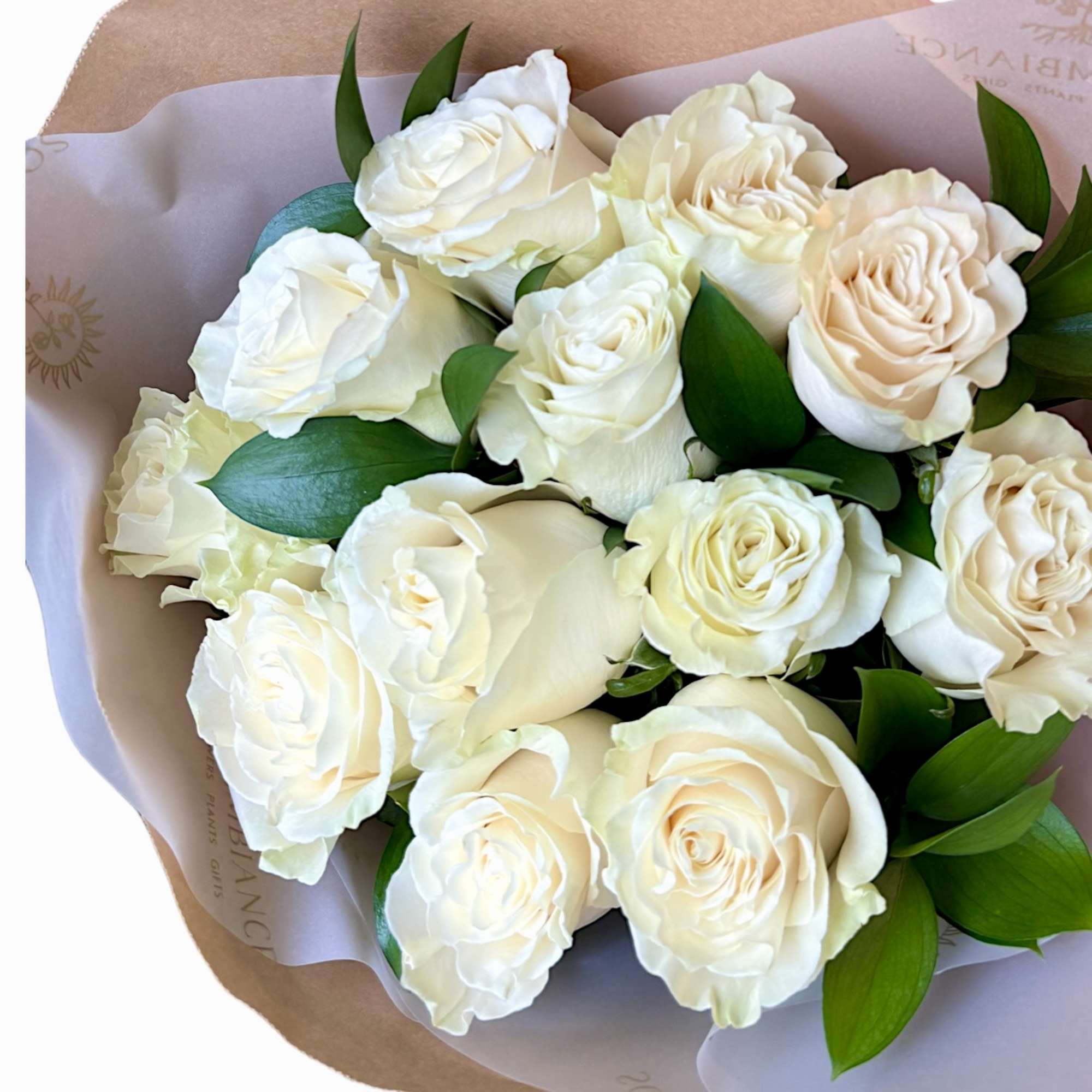 Bouquet of white roses wrapped in pale paper