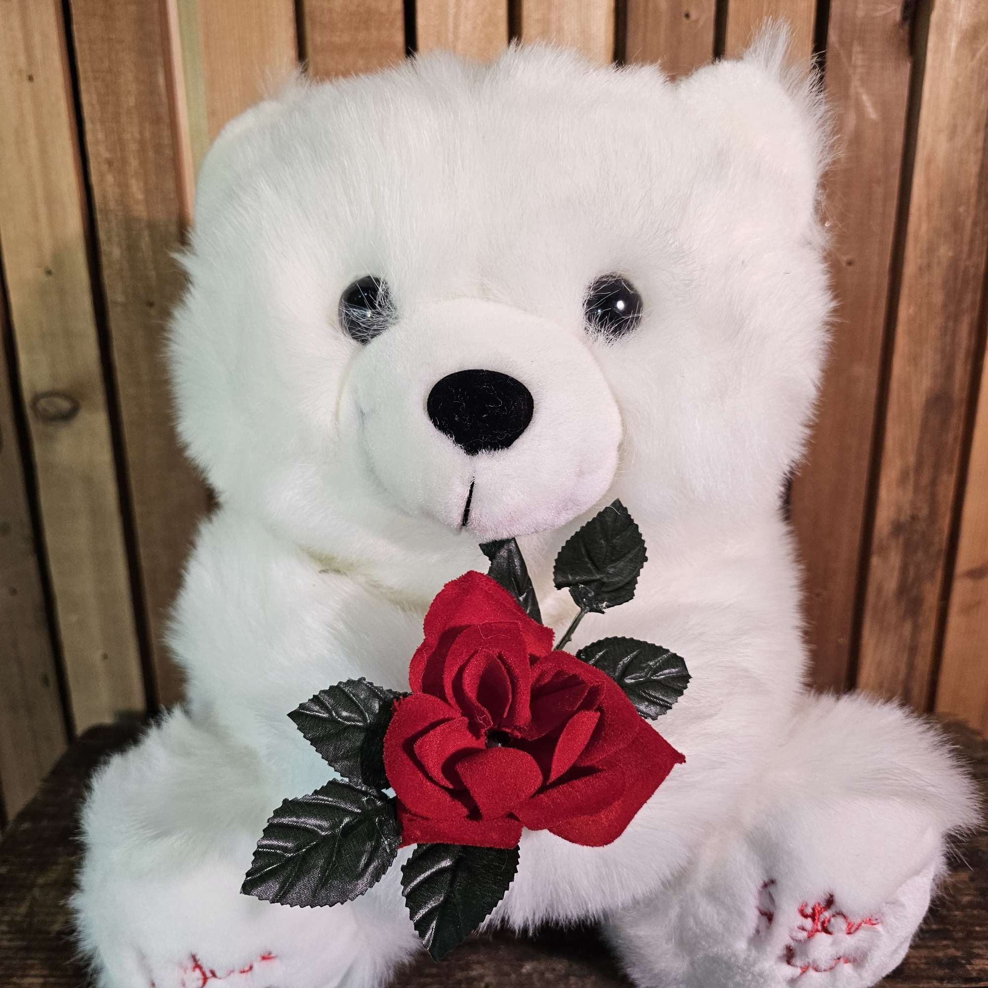 White teddy bear holding a red rose