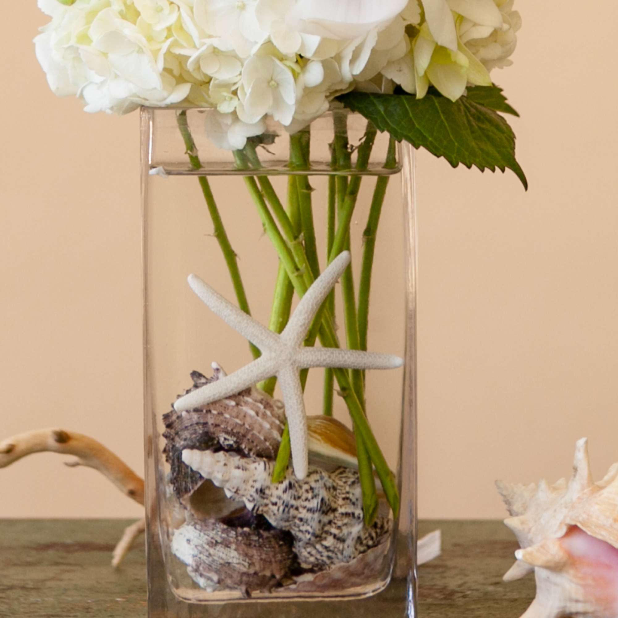 White hydrangea arrangement in a clear glass vase with seashells and a starfish