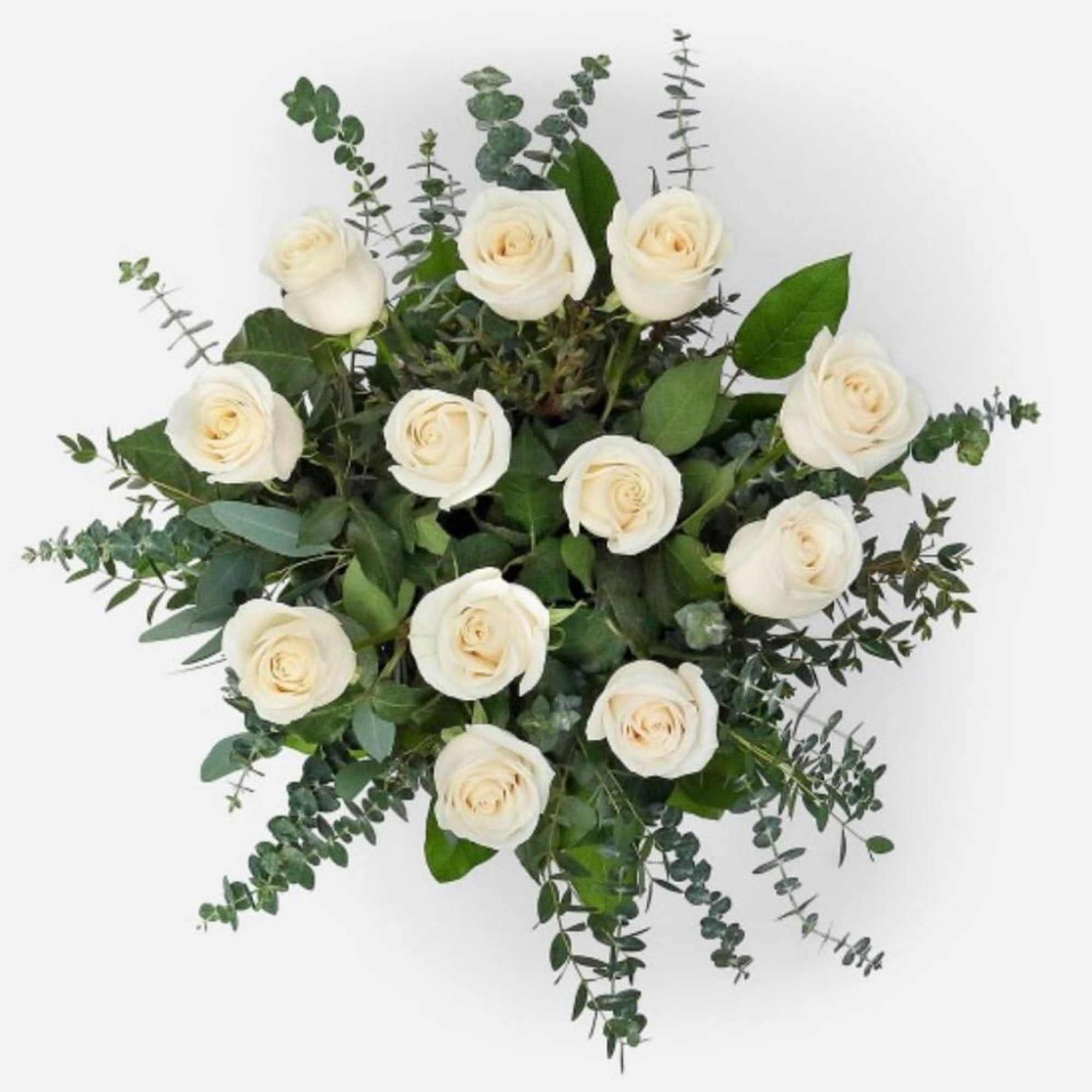dozen white in a vase with eucalyptus 