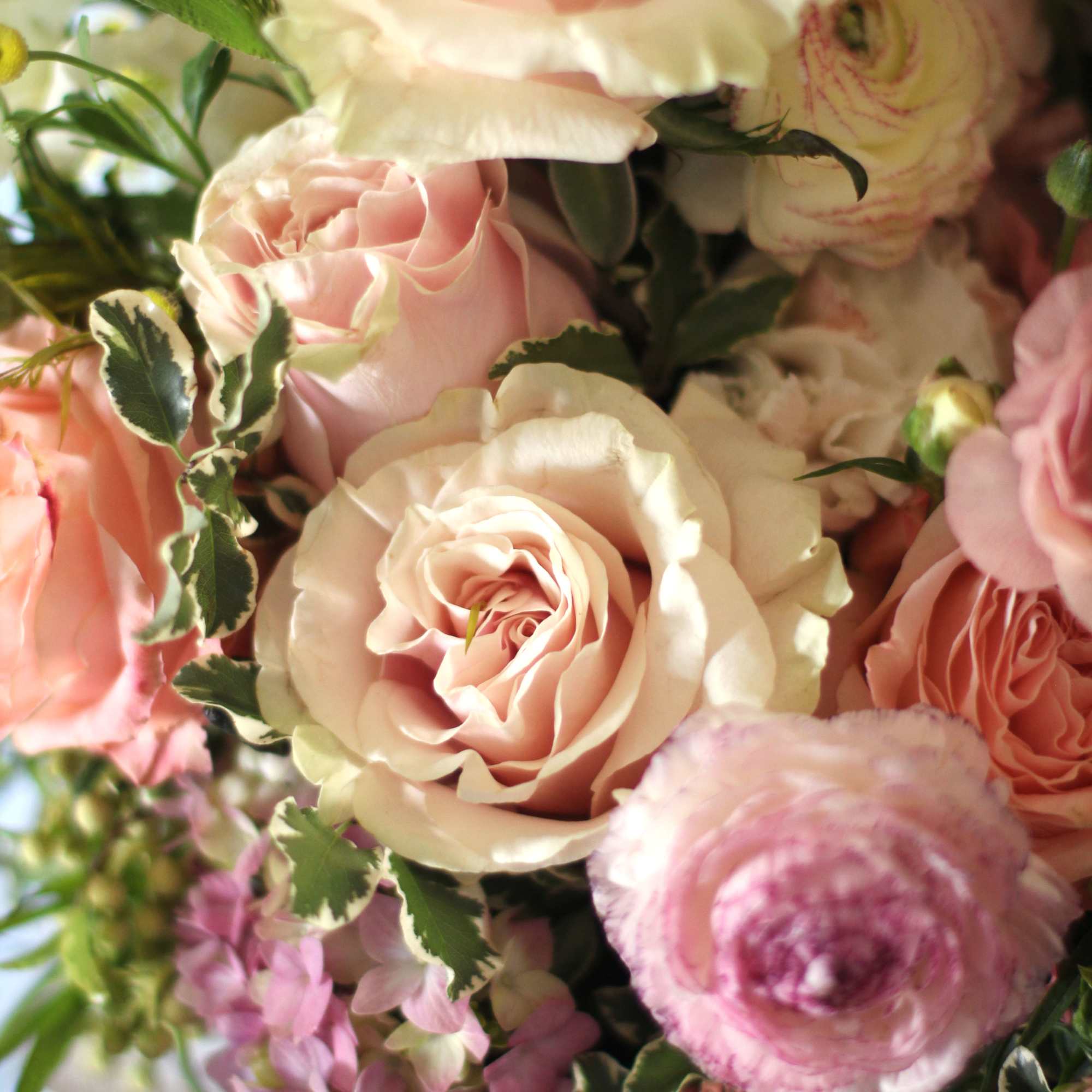  This arrangement creates in the elegance rosy glass vase. A rounder