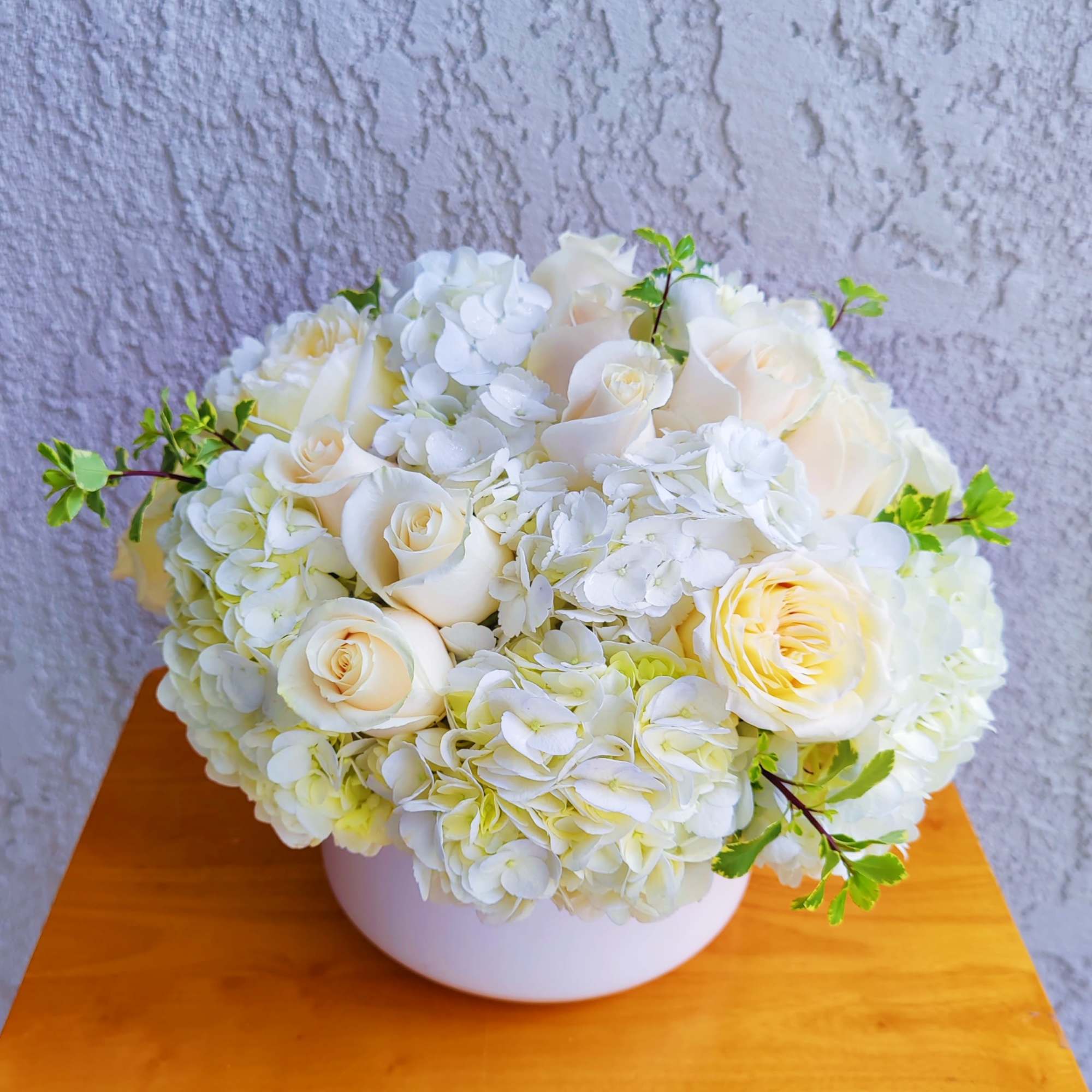 White roses and hydrangeas in a round white vase