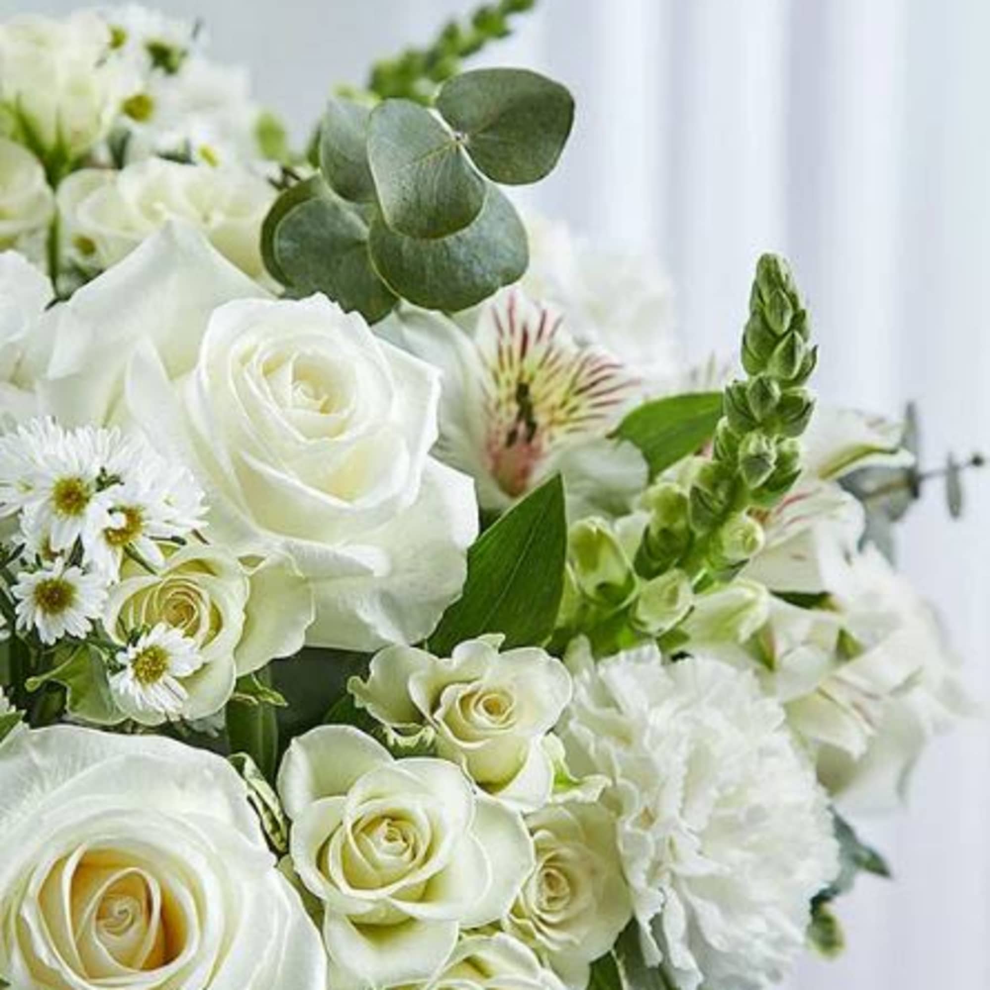  Pet Friendly?
No - This arrangement contains Eucalyptus, which is toxic to
