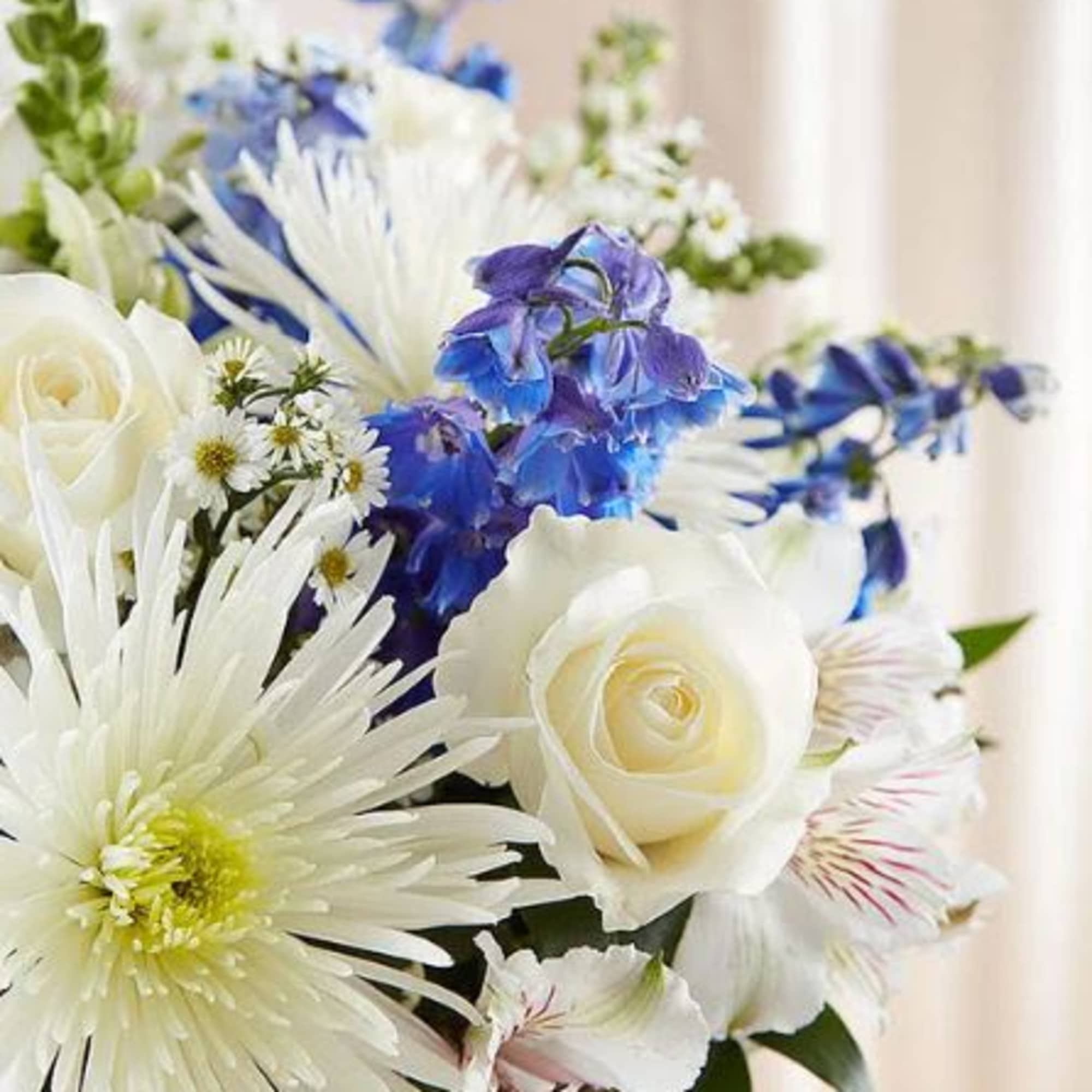  Pet Friendly?
No - This arrangement contains Spider Mums and Alstroemeria, which
