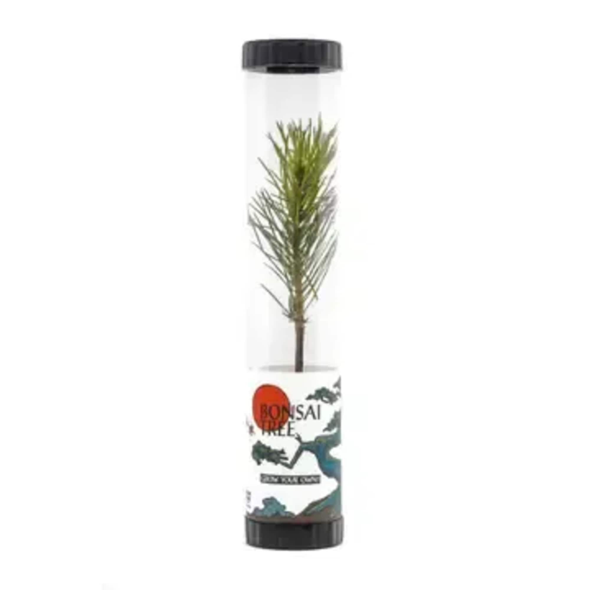 Celebrate Life or Memorialize a Loved One &mdash; One Tree at a