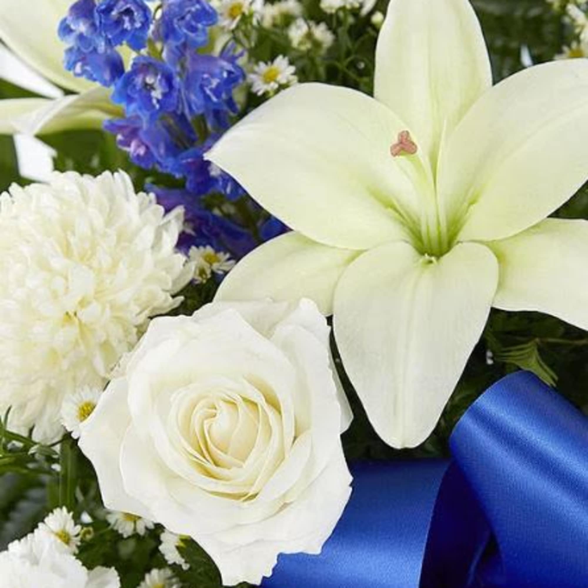 Pet Friendly?
No This arrangement contains Lilies, which are highly toxic to cats