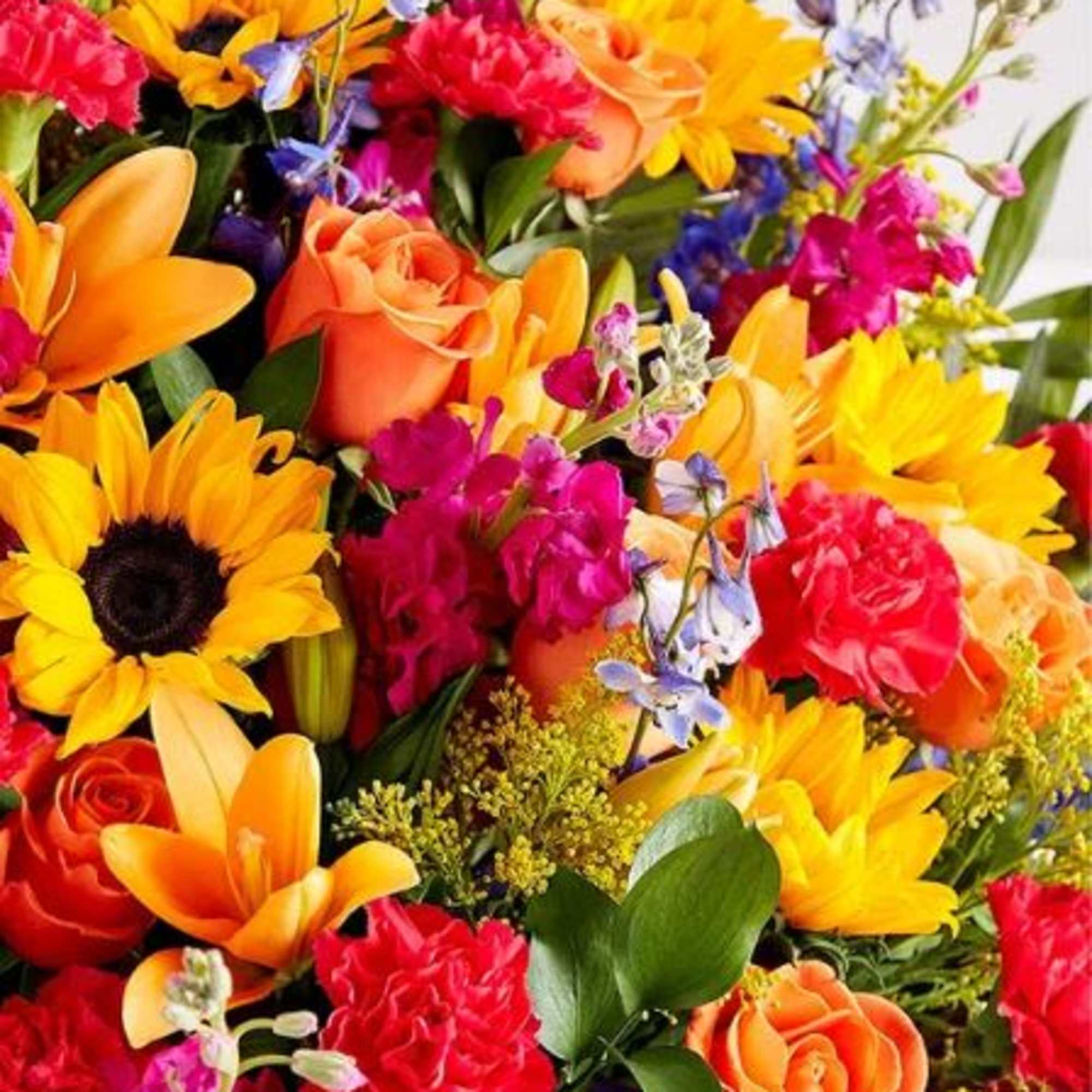 Pet Friendly?
No - This arrangement contains Asiatic Lilies, which are highly toxic