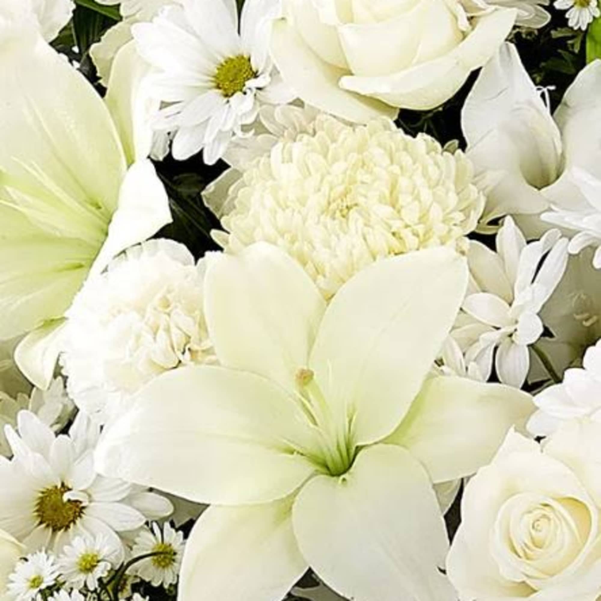 Pet Friendly?
No. This arrangement contains Oriental Lilies, which are highly toxic to